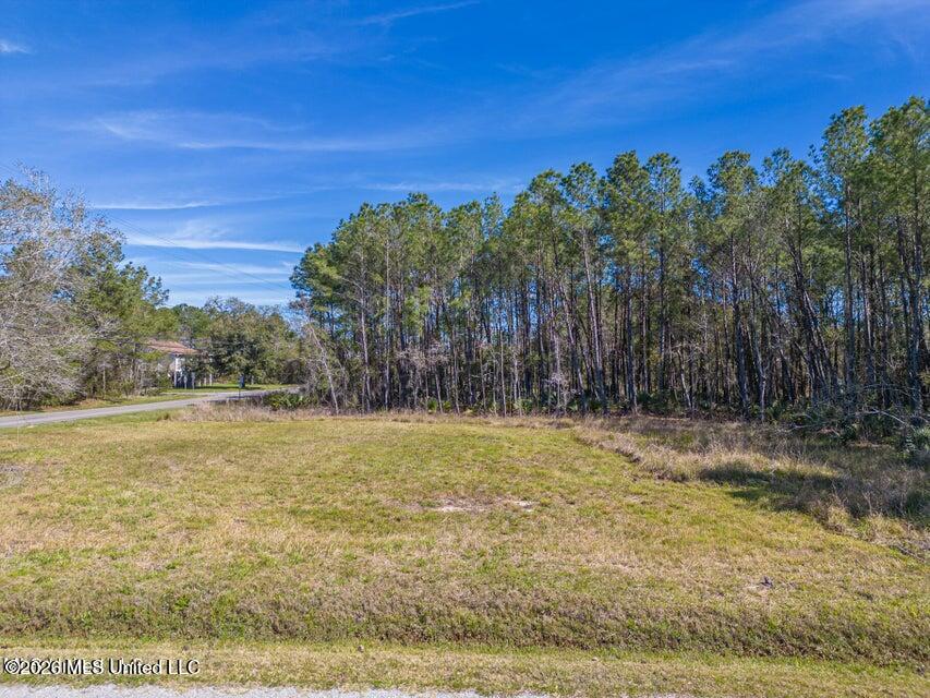 0 Chapman Road Property Photo 1