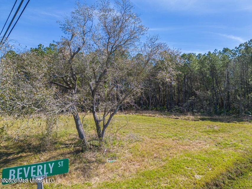 0 Chapman Road Property Photo 12