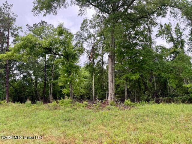 0 Mississippi 48 Property Photo 2