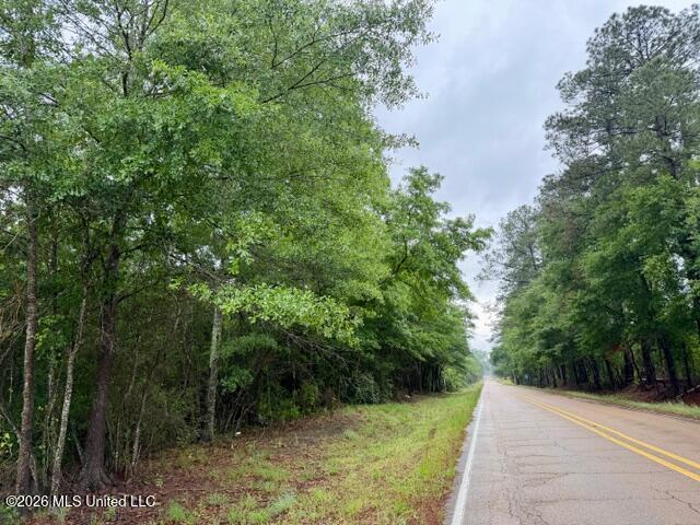 0 Mississippi 48 Property Photo 9