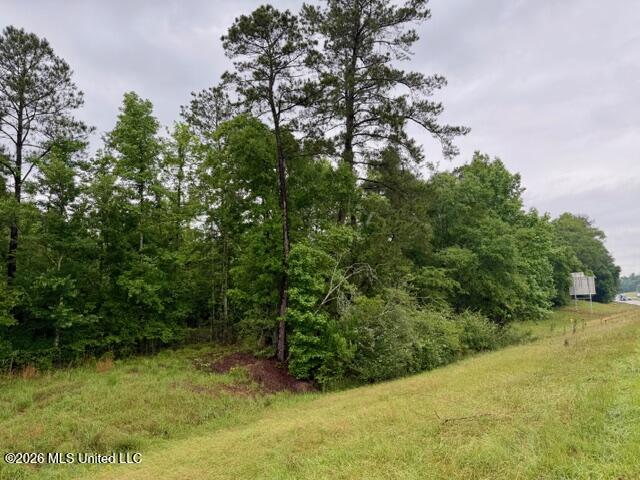 0 Mississippi 48 Property Photo 10