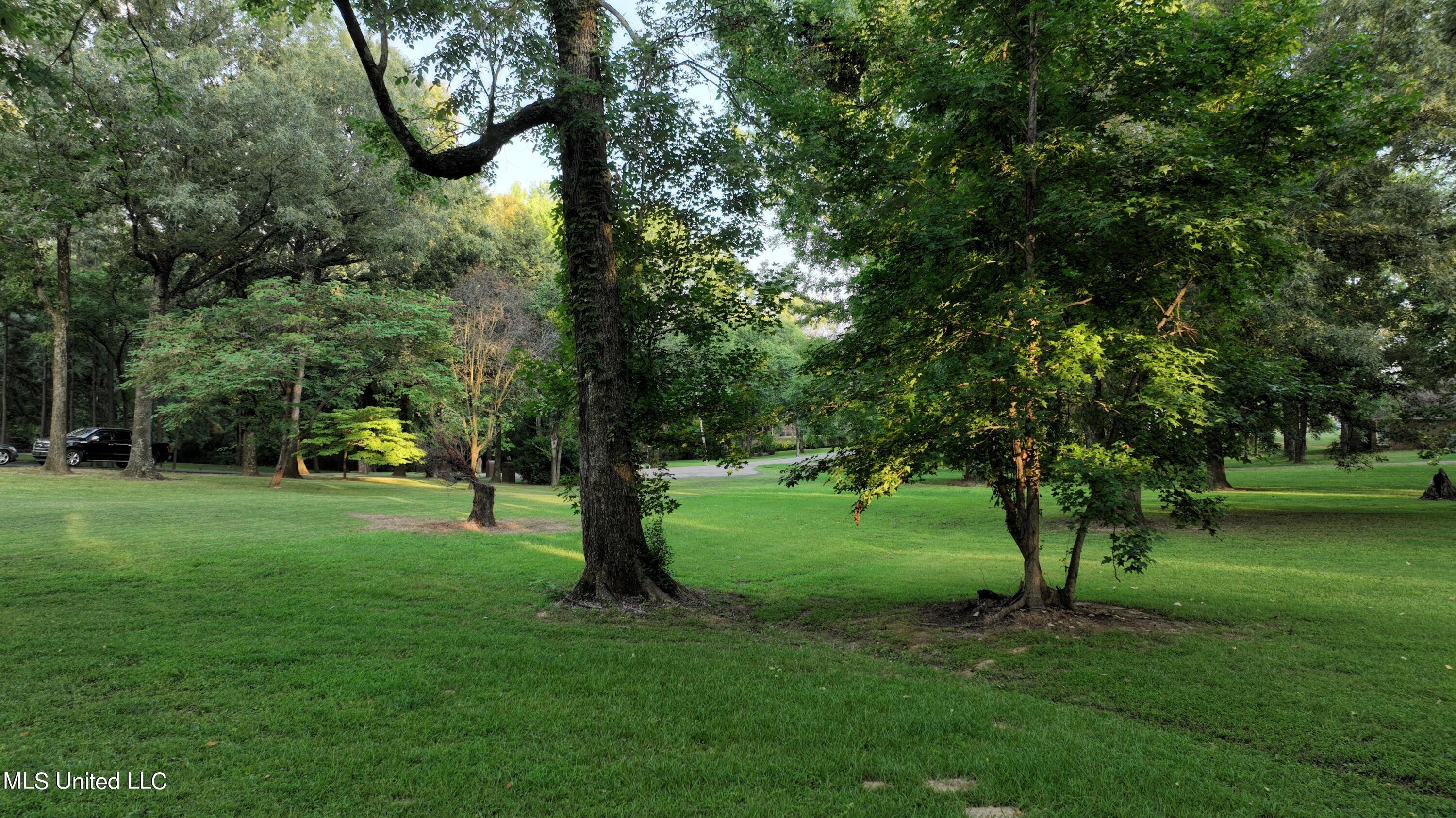 9144 Valley Grove Lane Property Photo 56