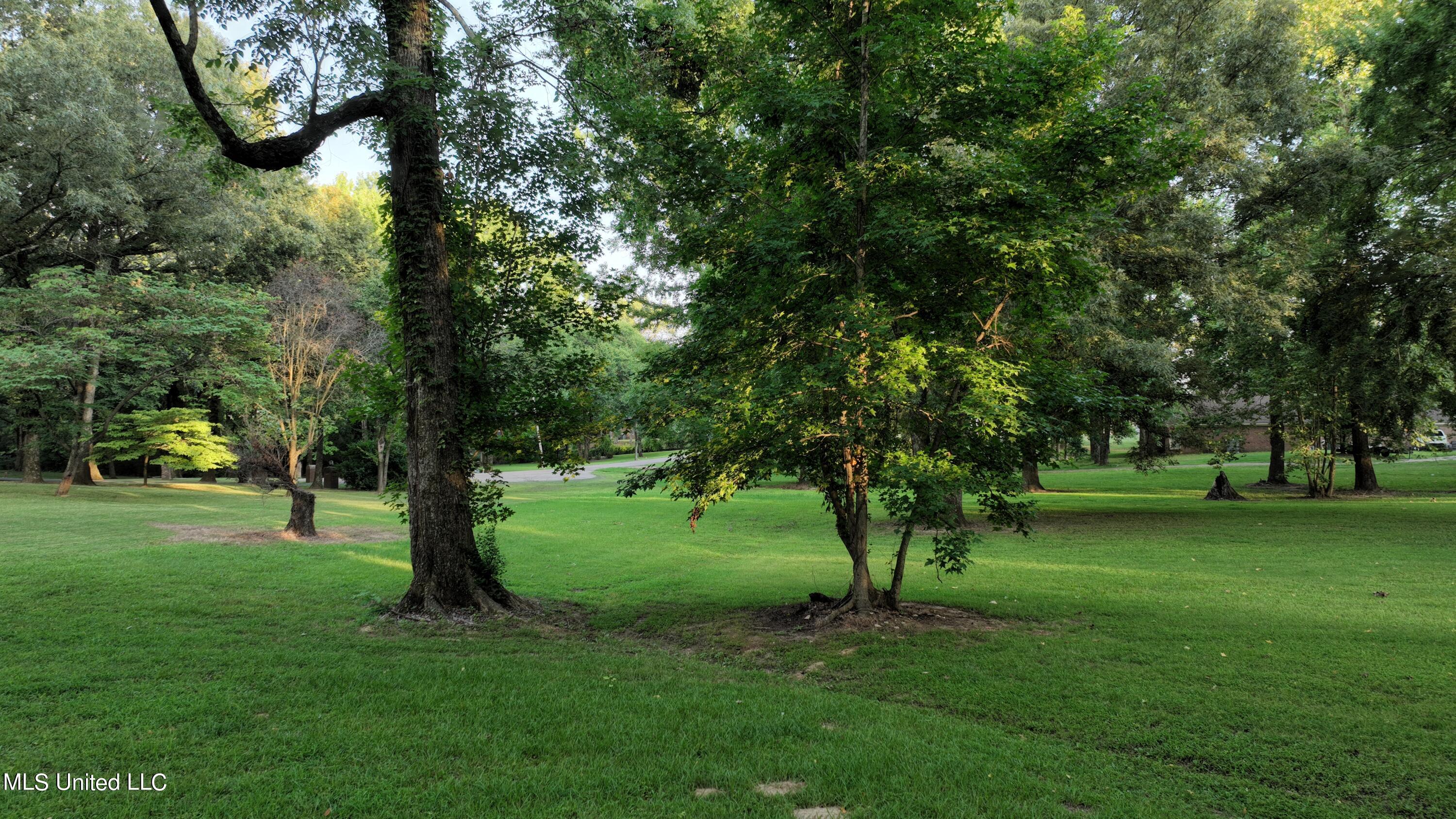 9144 Valley Grove Lane Property Photo 57