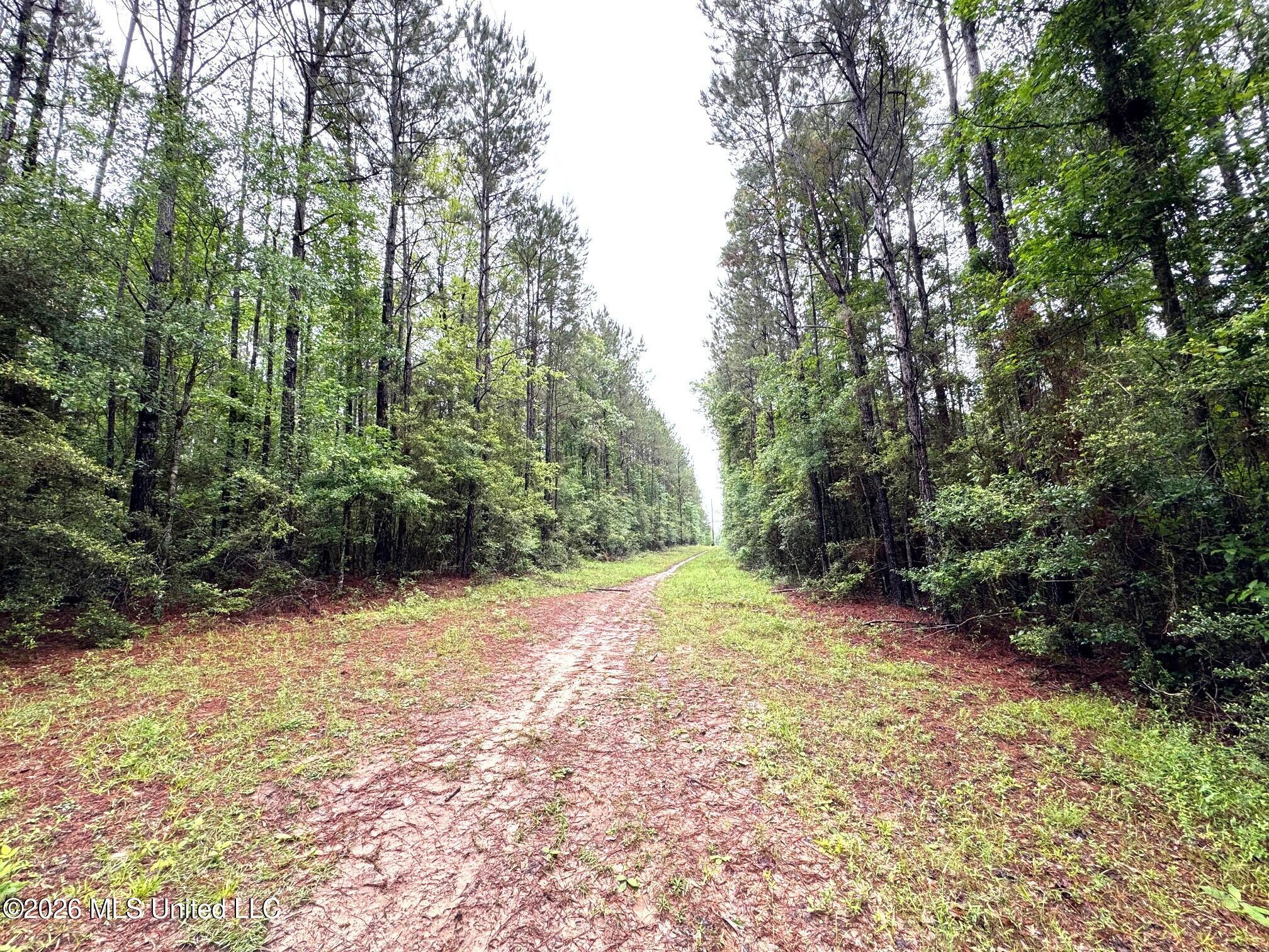 000 Emerald State Line Road Property Photo 1