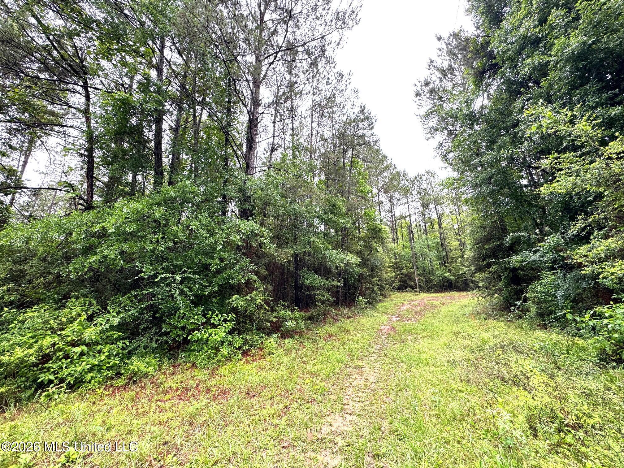 000 Emerald State Line Road Property Photo 2