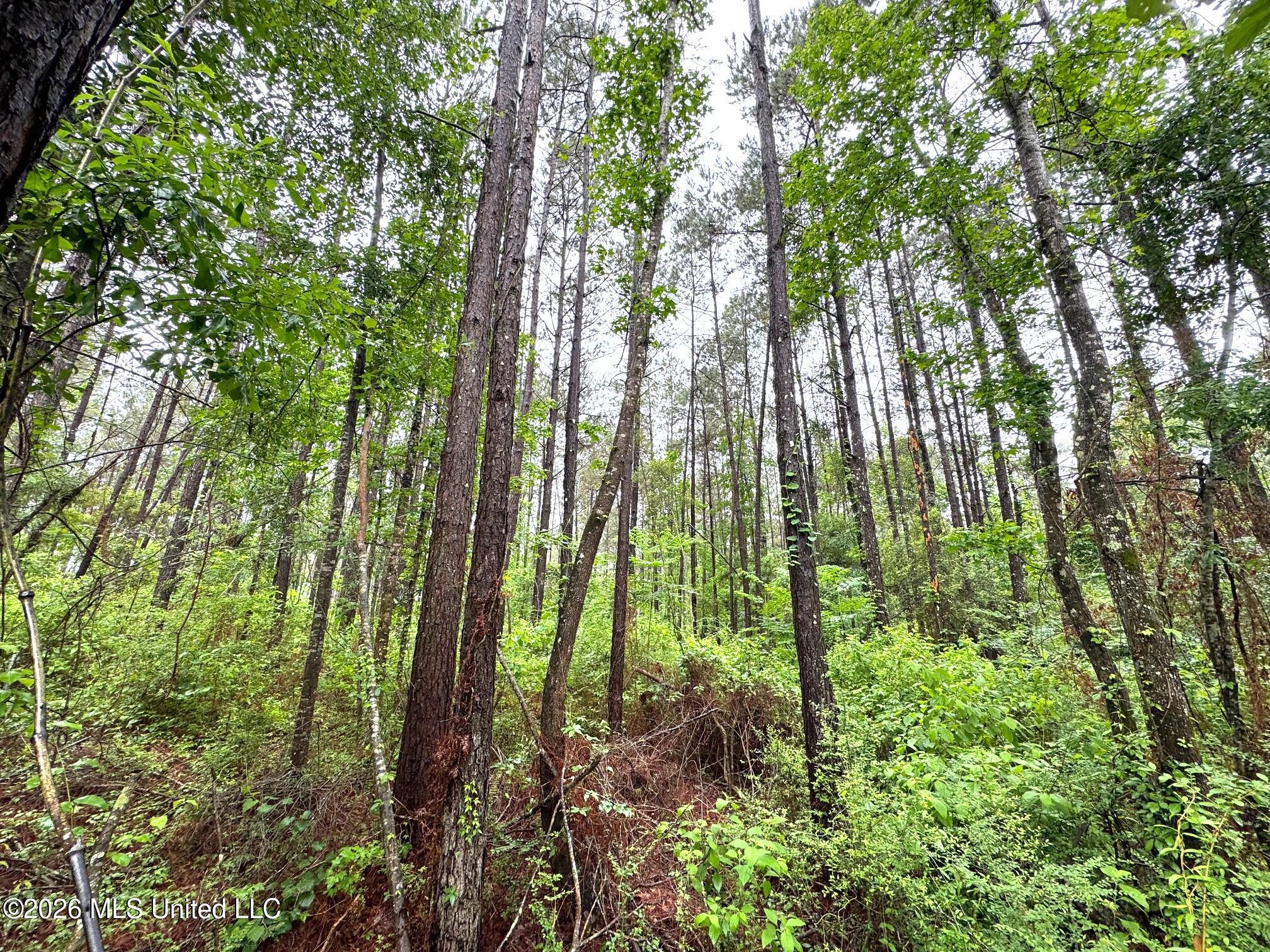 000 Emerald State Line Road Property Photo 3