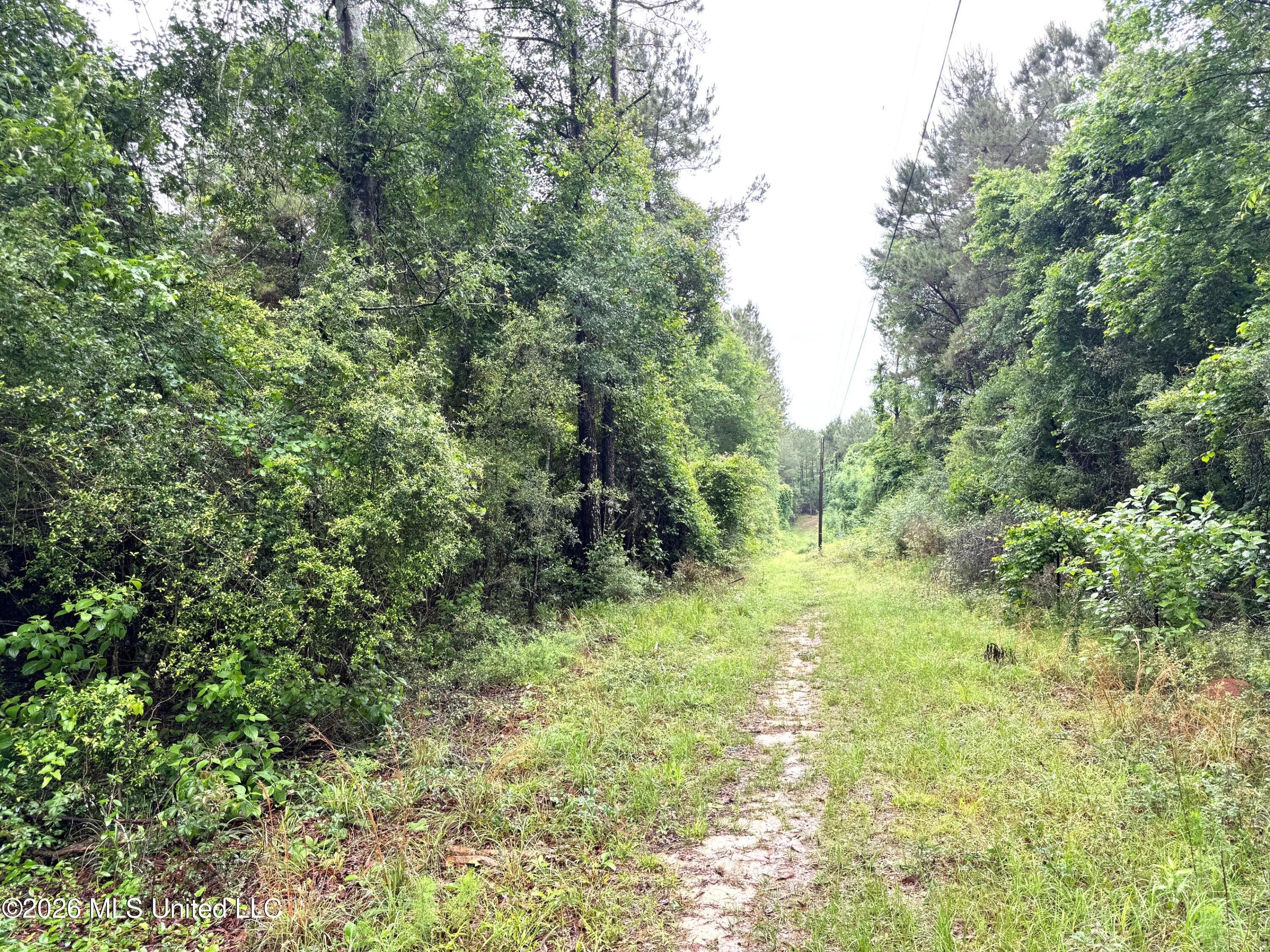 000 Emerald State Line Road Property Photo 4