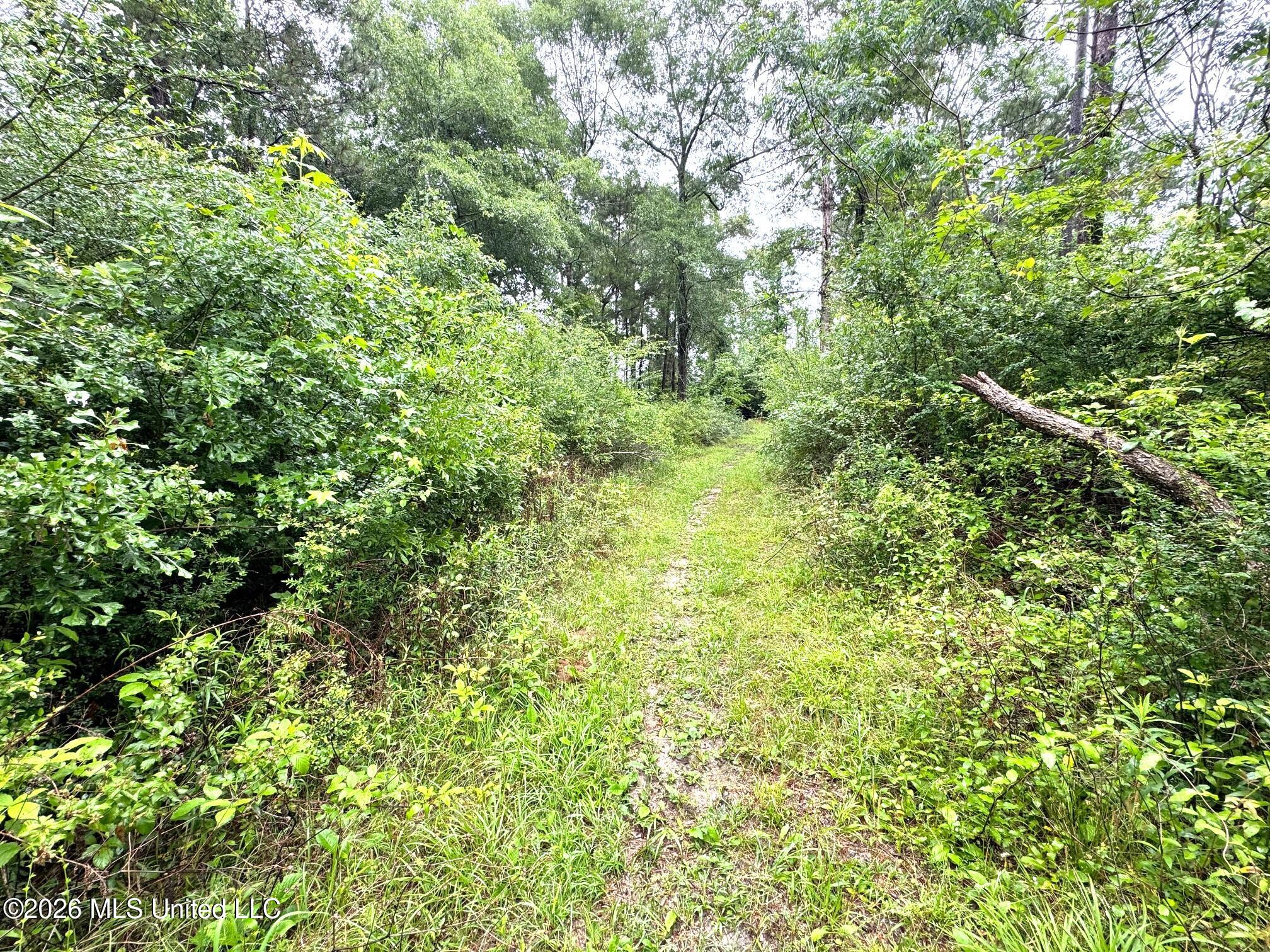 000 Emerald State Line Road Property Photo 5