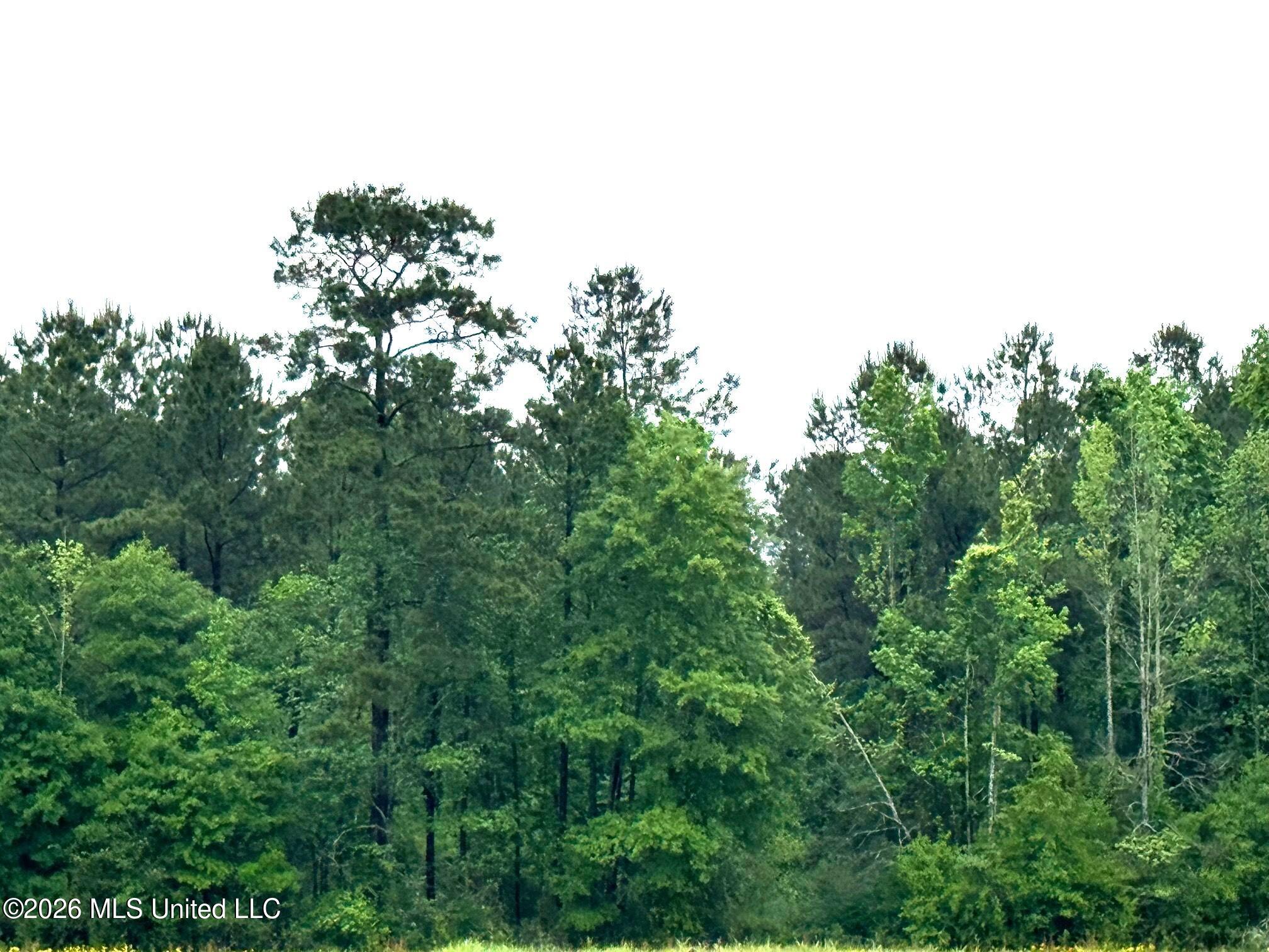 000 Emerald State Line Road Property Photo 6