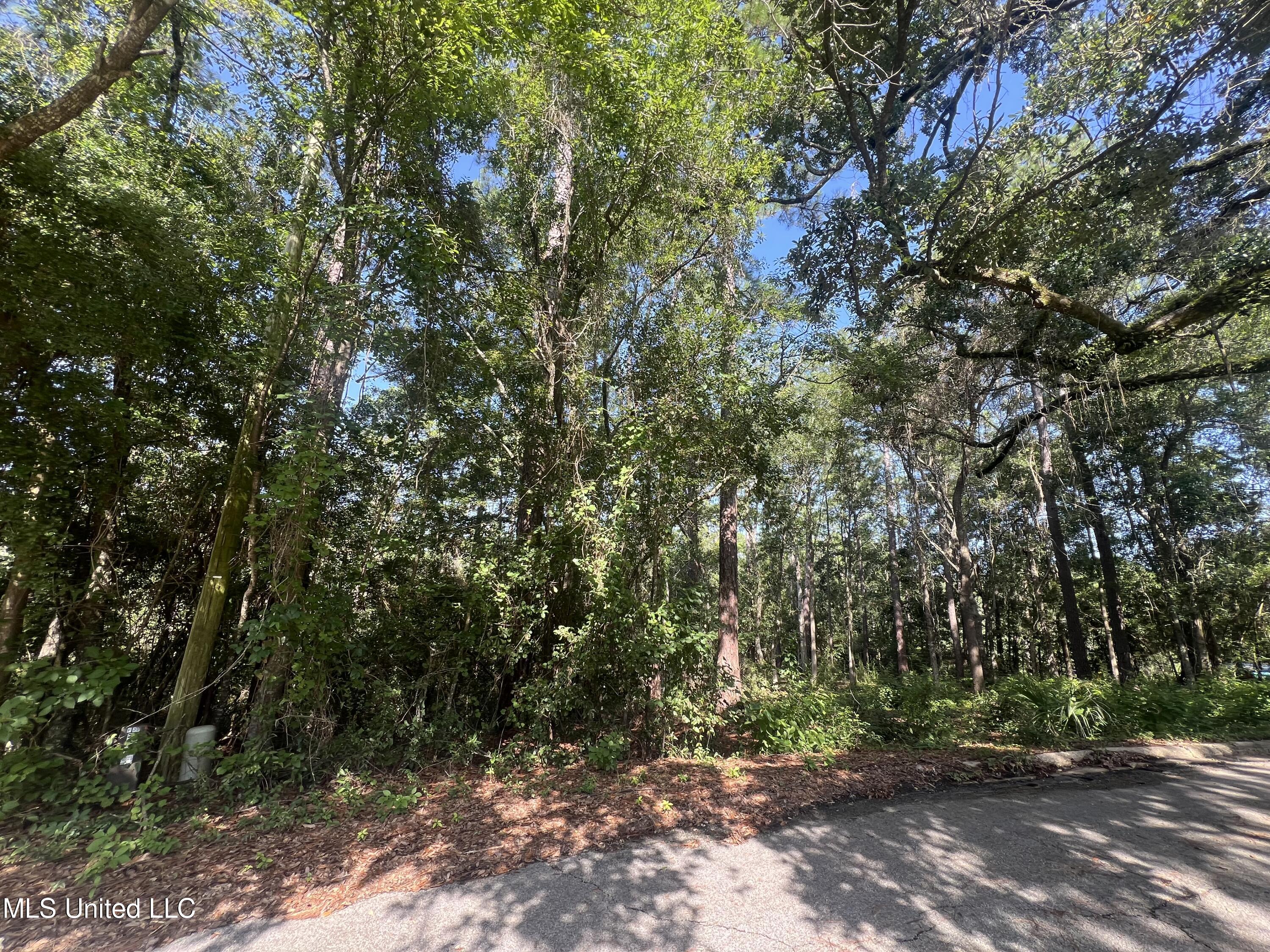 Creek Drive Property Photo 2