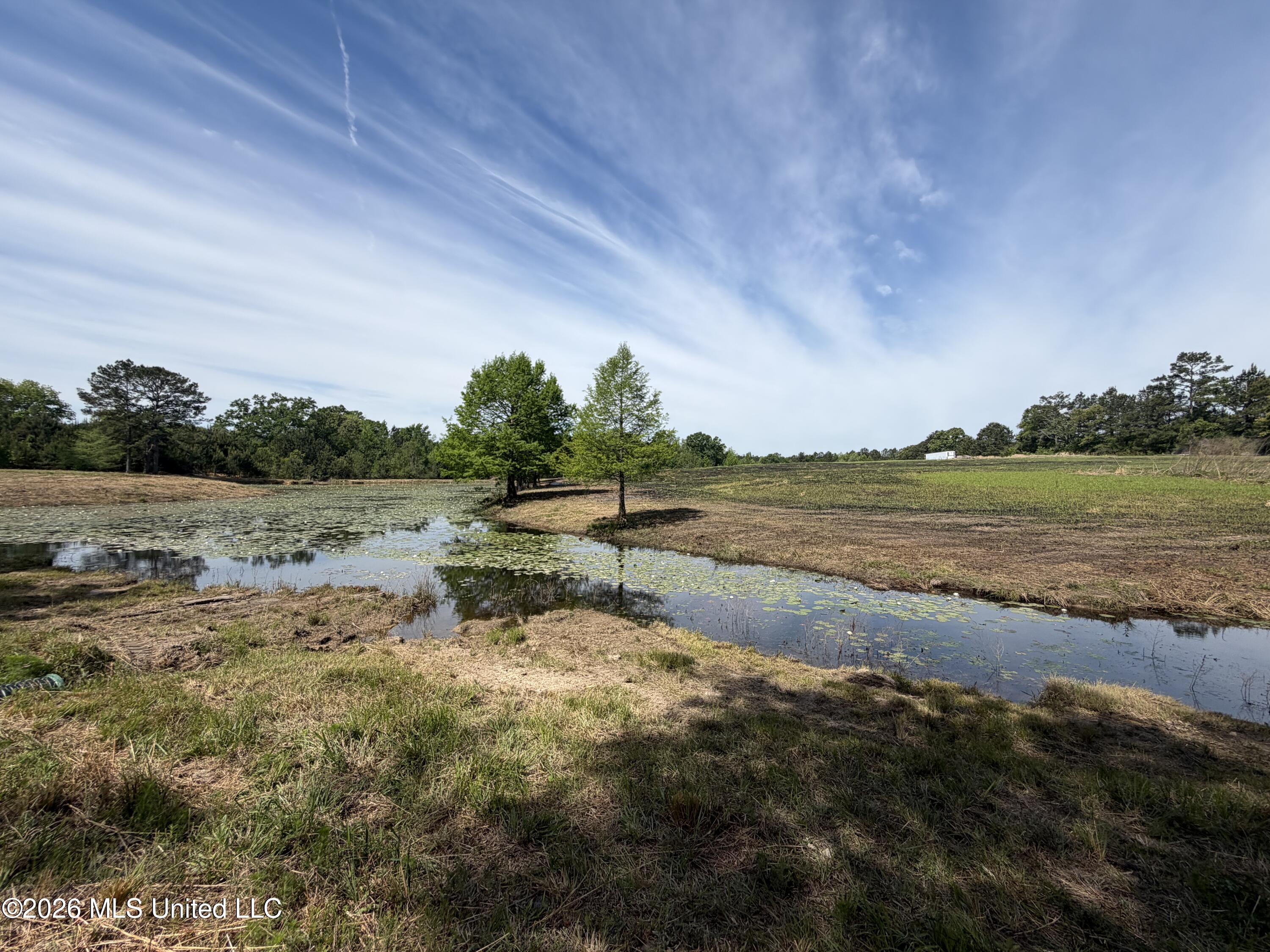 0 N Neely Avera Road Property Photo 1