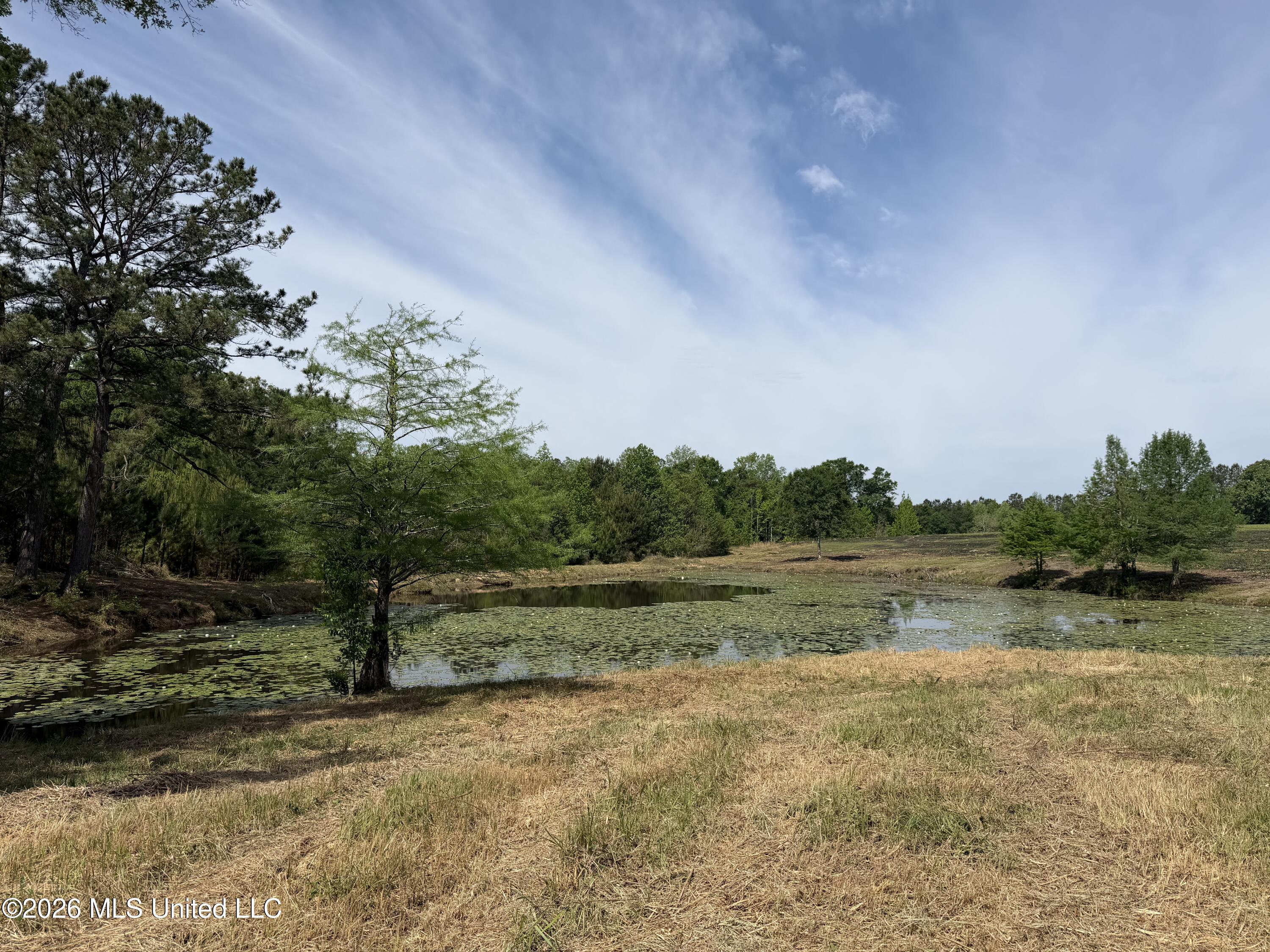 0 N Neely Avera Road Property Photo 2