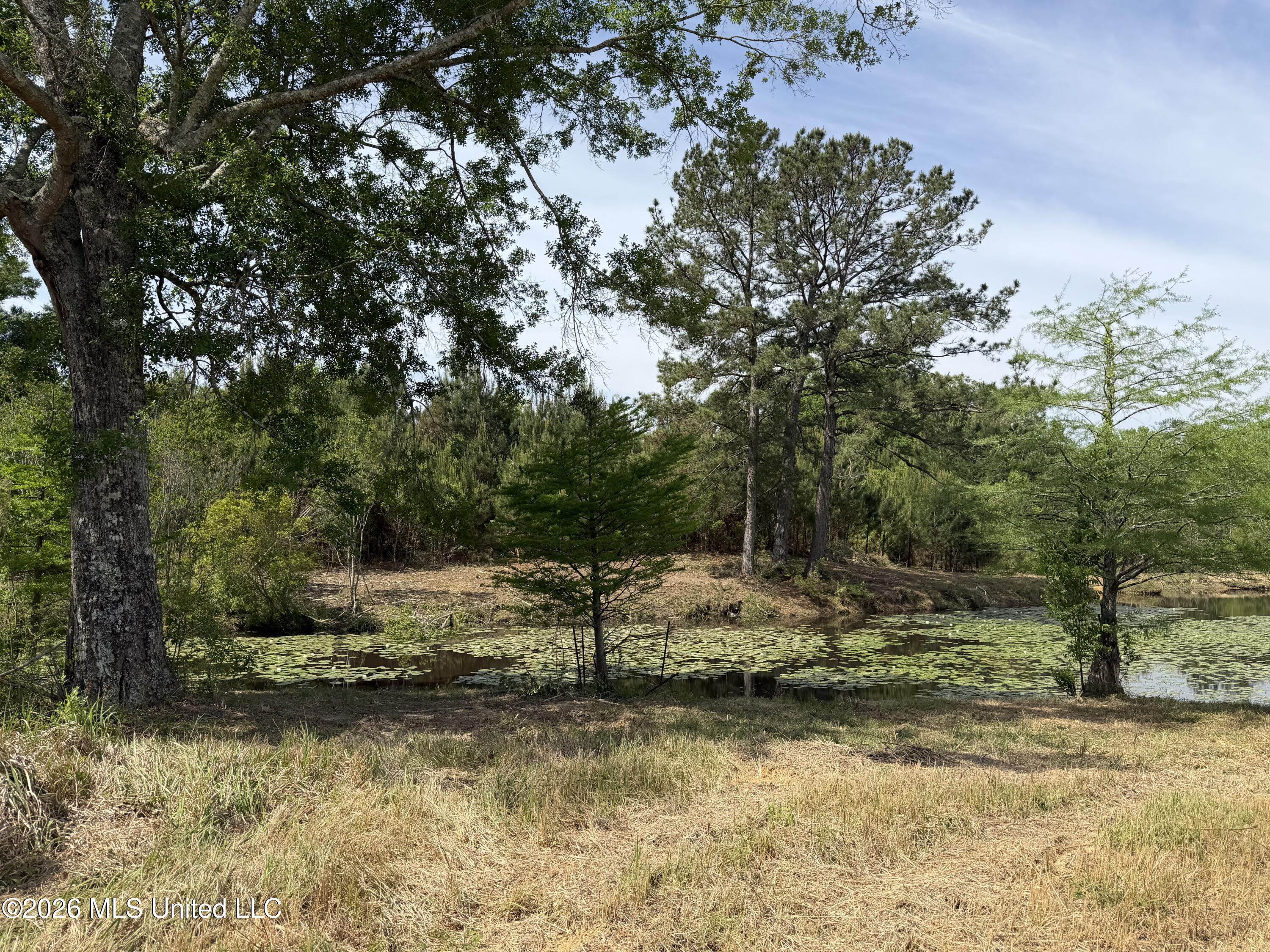 0 N Neely Avera Road Property Photo 3