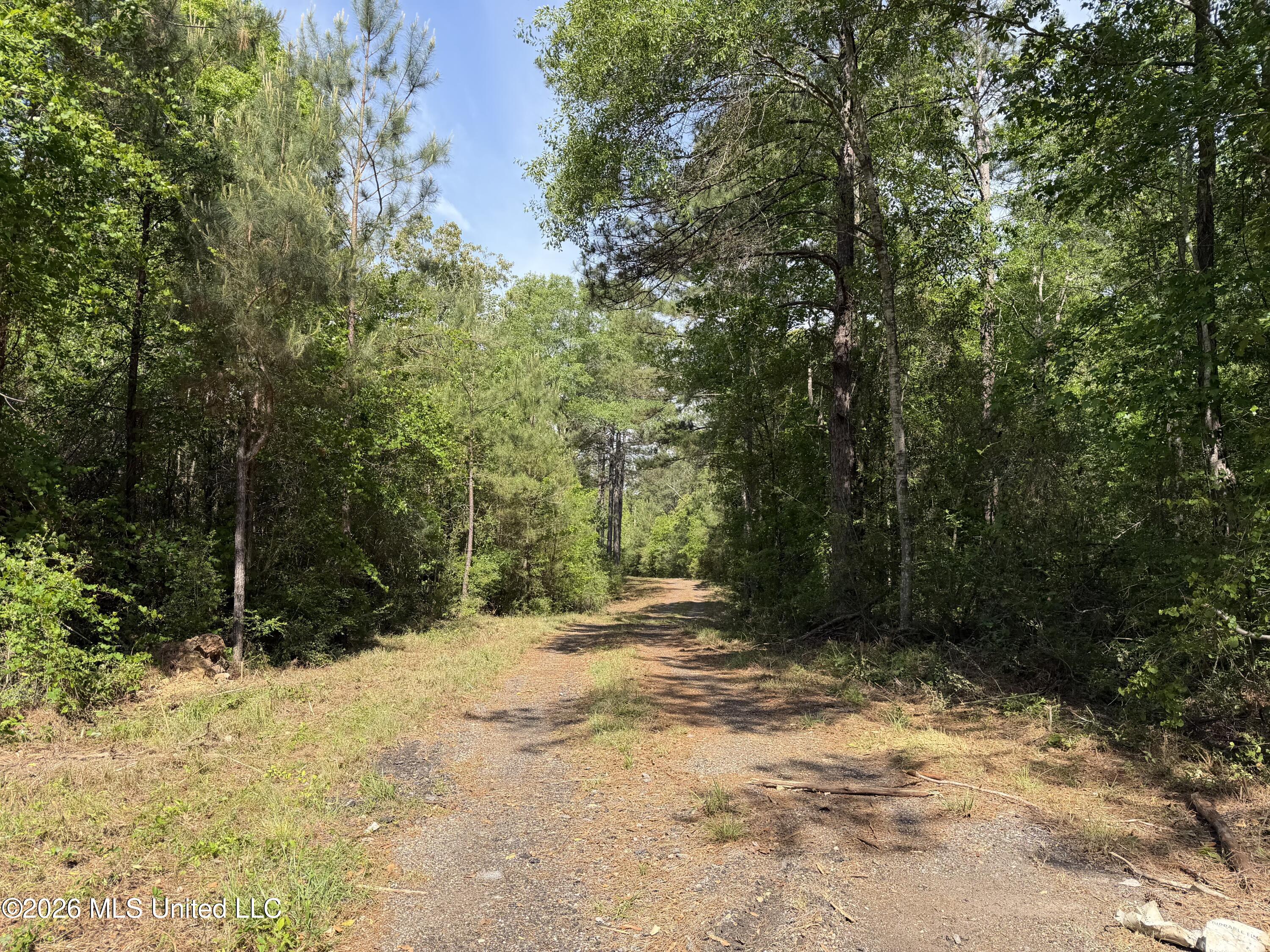 0 N Neely Avera Road Property Photo 4