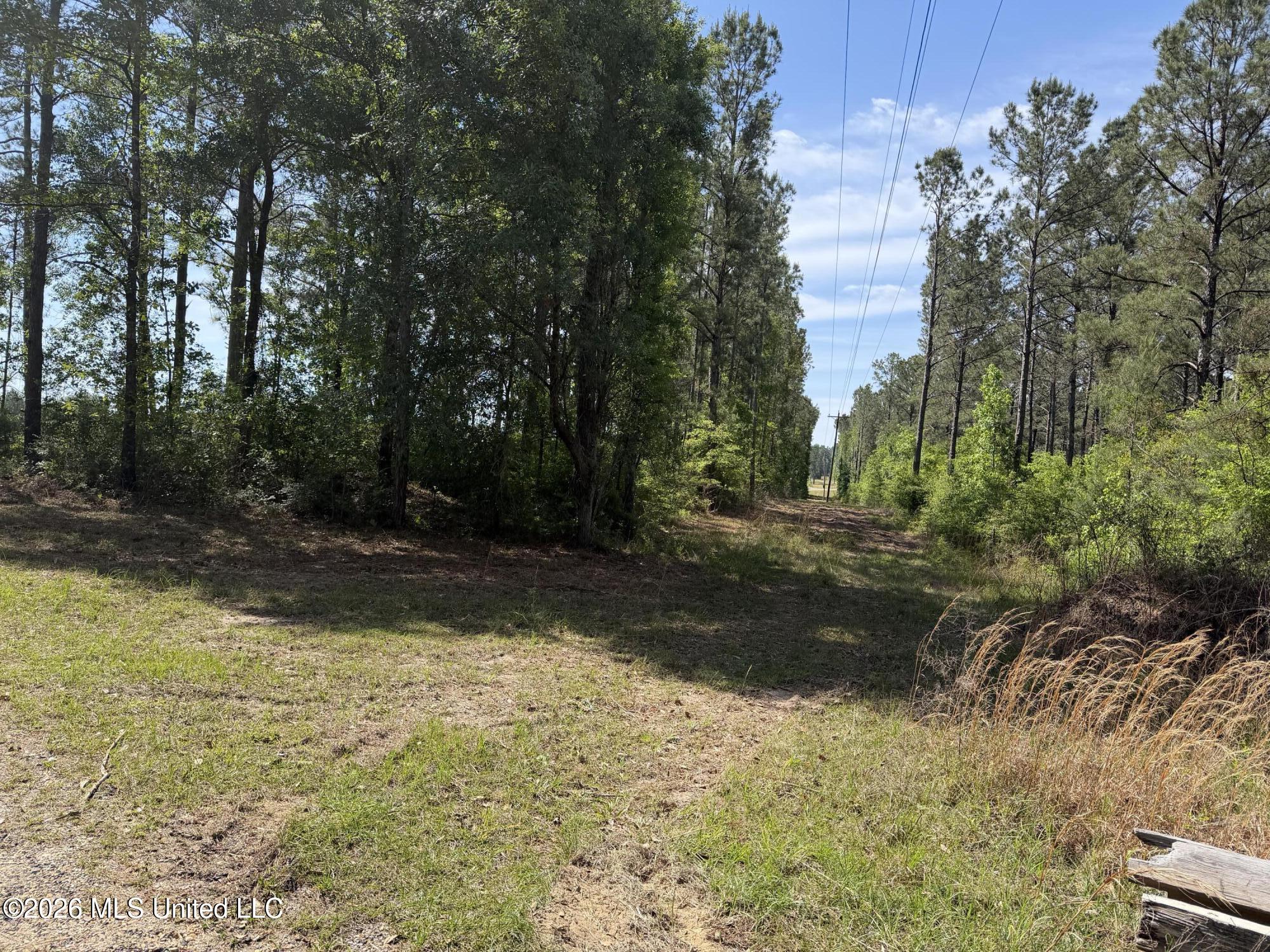 0 N Neely Avera Road Property Photo 6