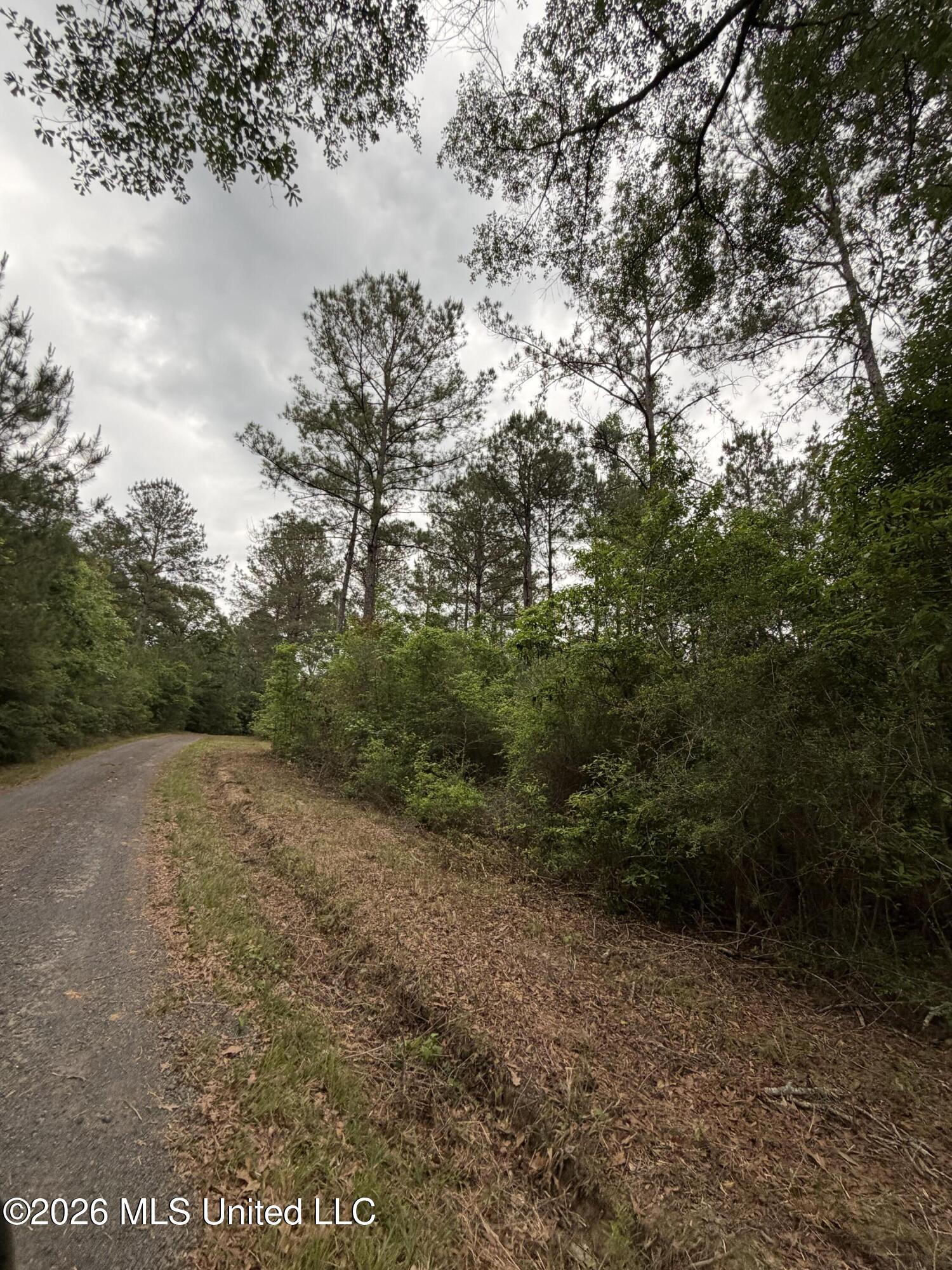 0 N Neely Avera Road Property Photo 7