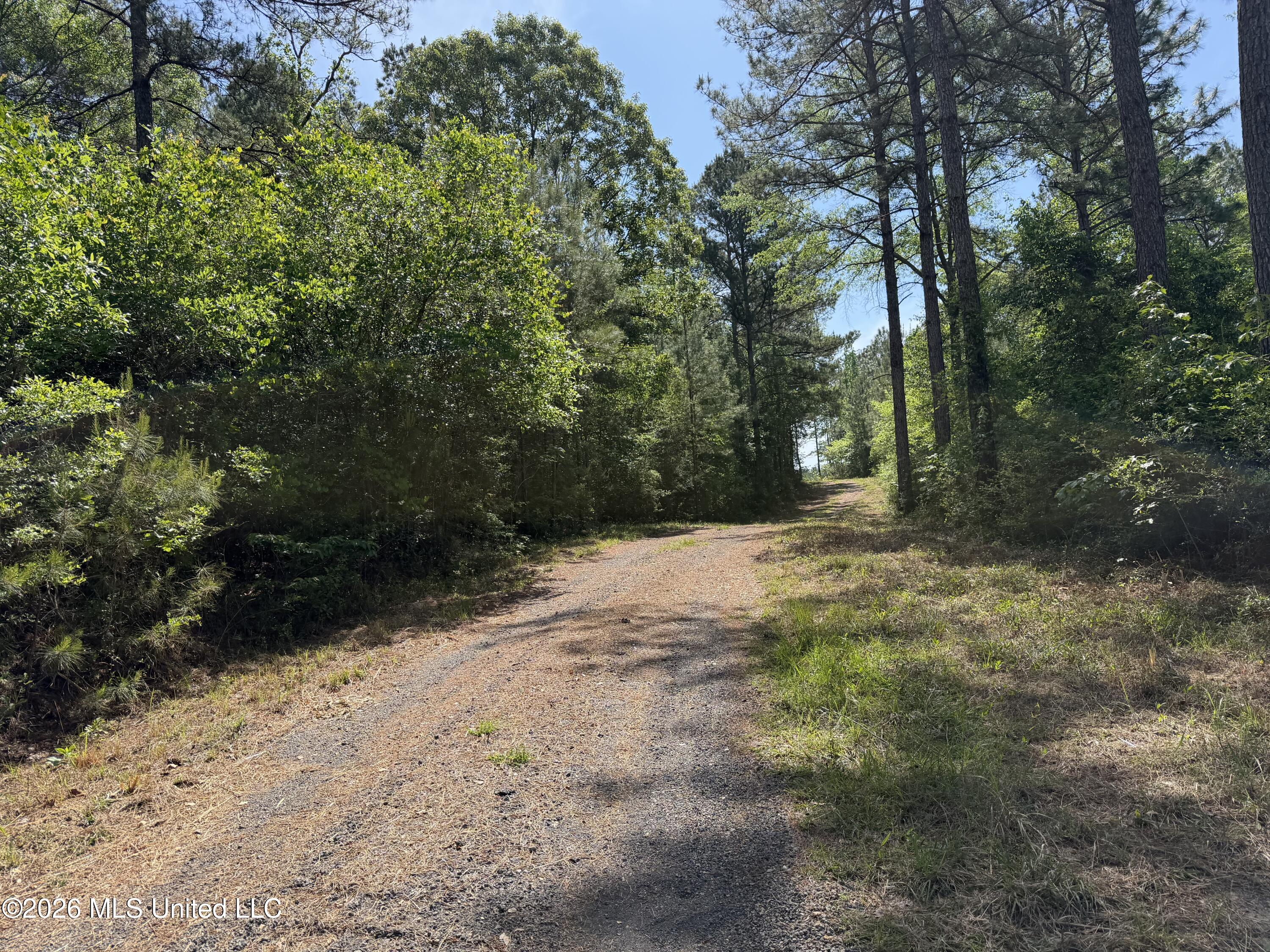 0 N Neely Avera Road Property Photo 8
