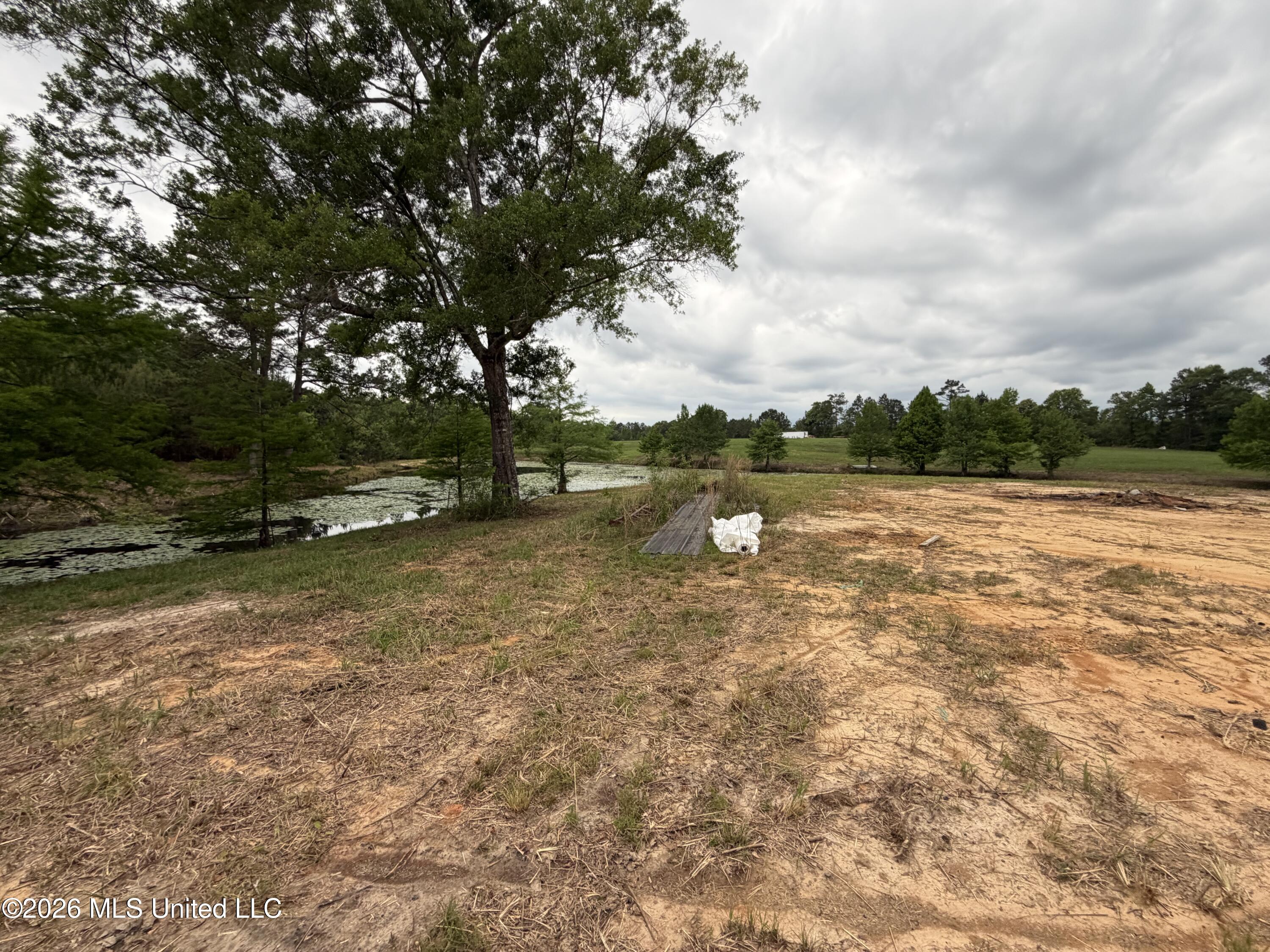 0 N Neely Avera Road Property Photo 10
