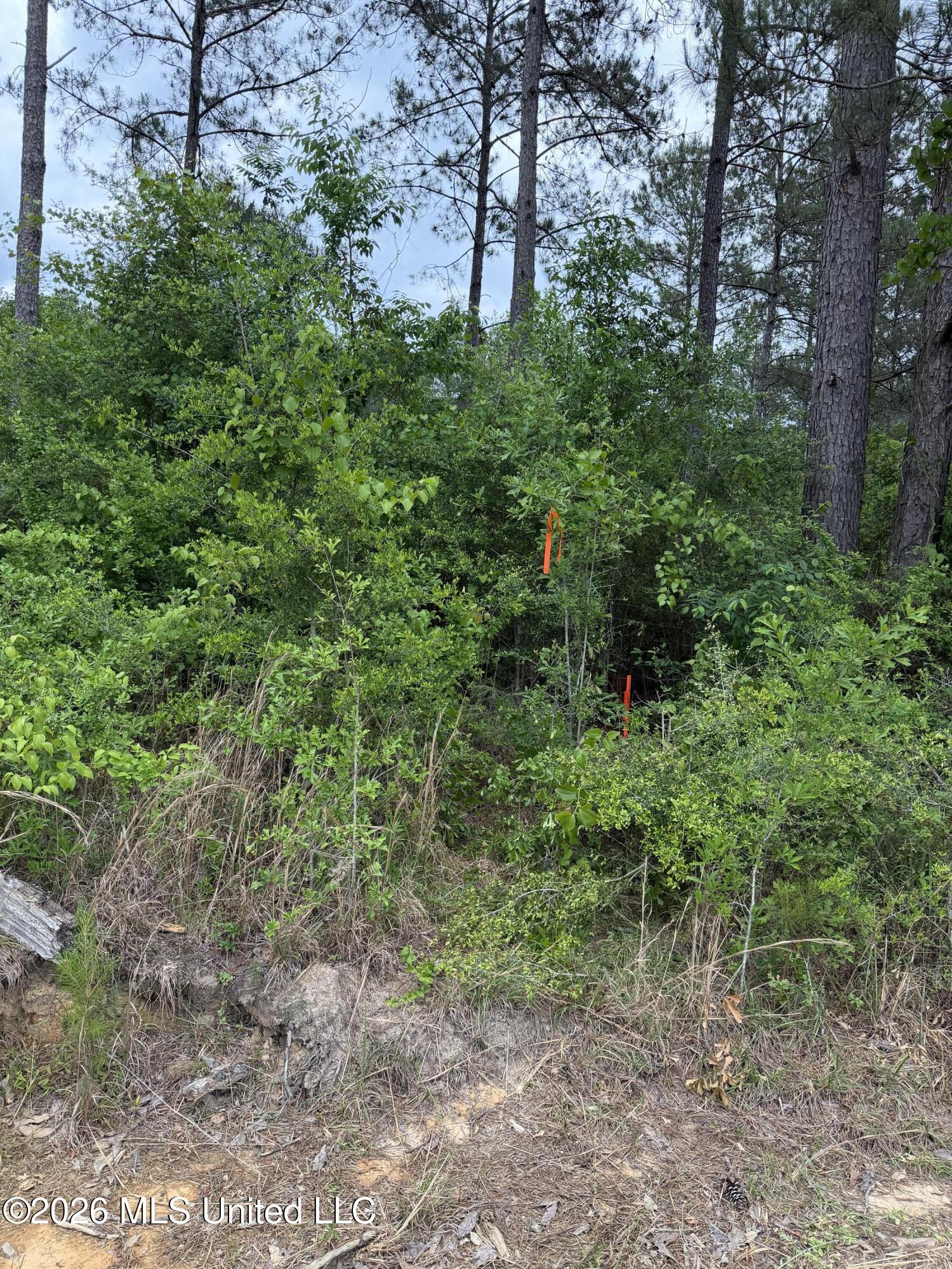 0 N Neely Avera Road Property Photo 12