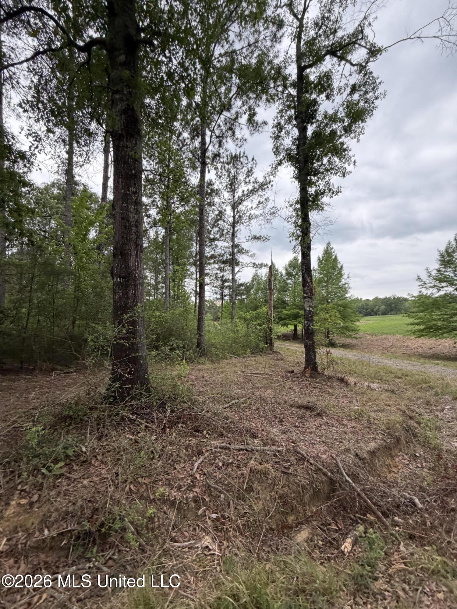 0 N Neely Avera Road Property Photo 13