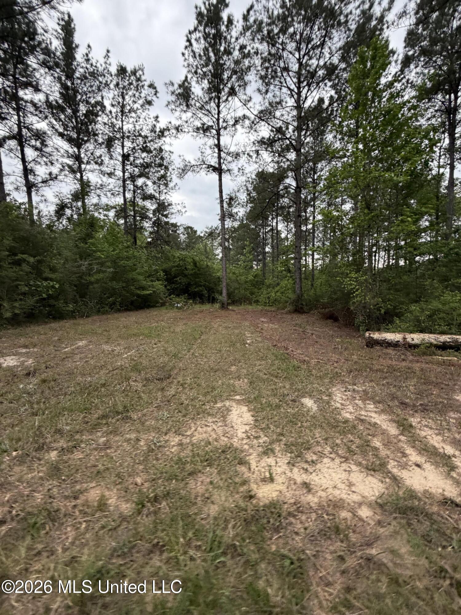 0 N Neely Avera Road Property Photo 14