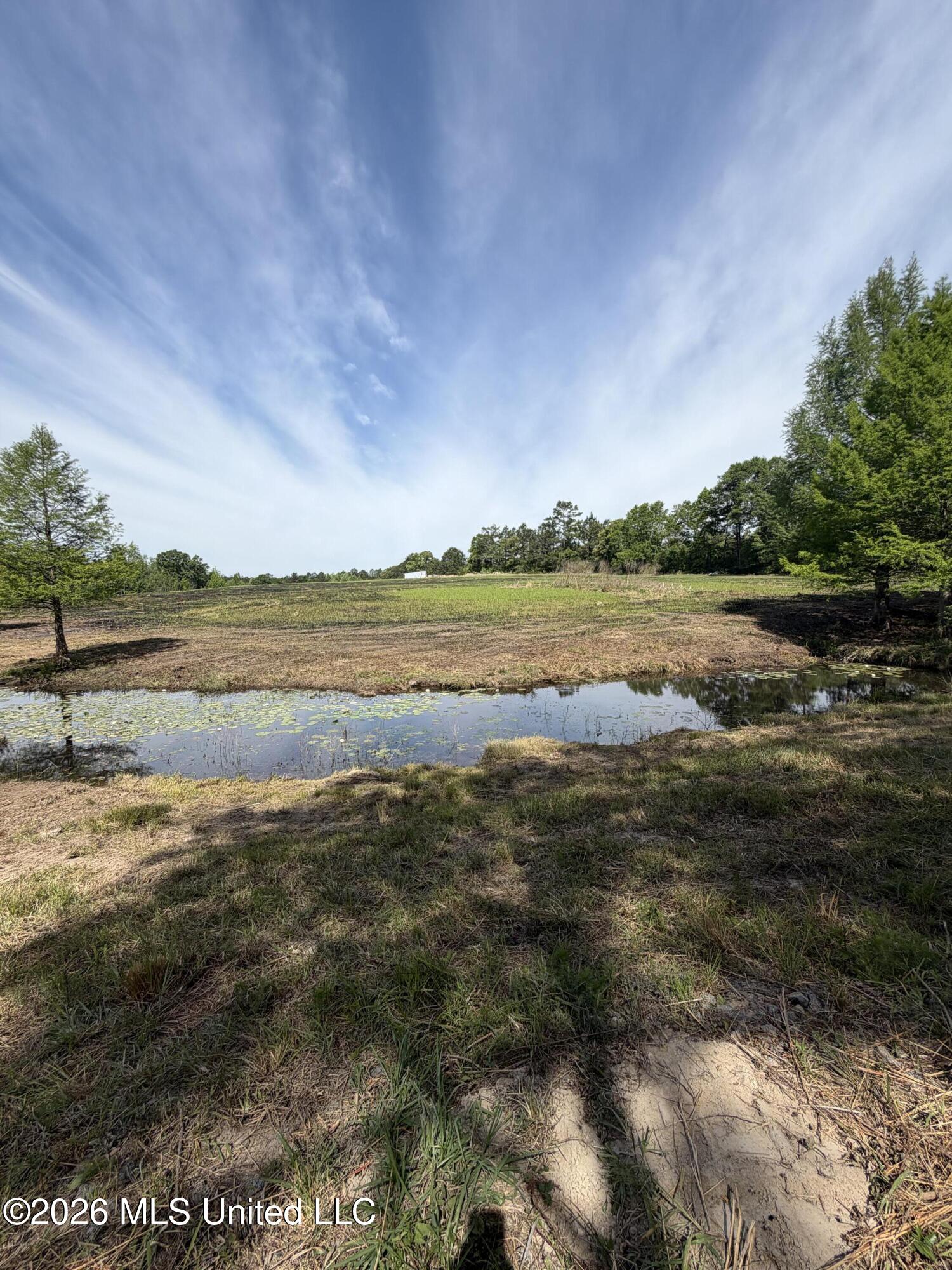 0 N Neely Avera Road Property Photo 16