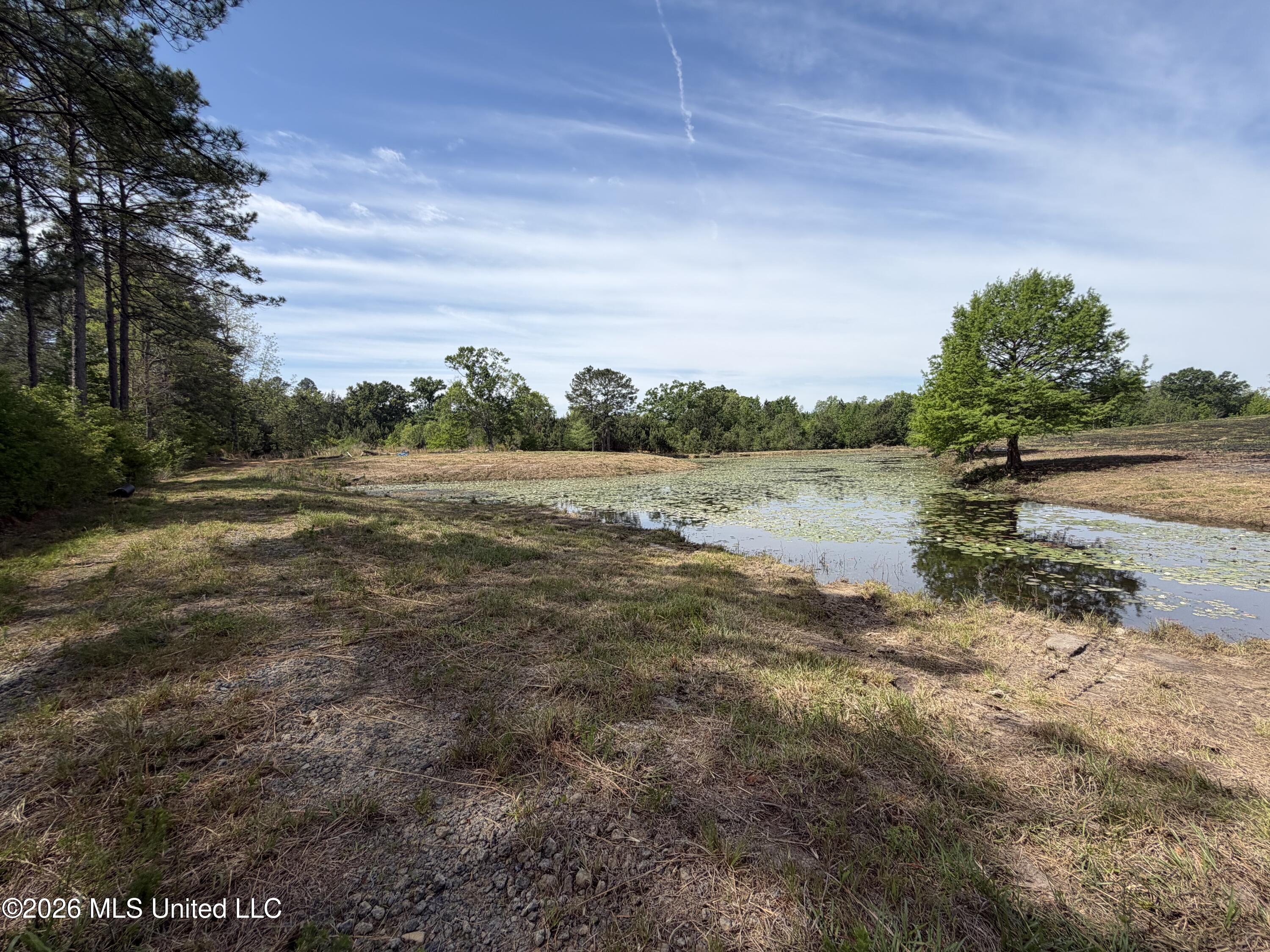 0 N Neely Avera Road Property Photo 17