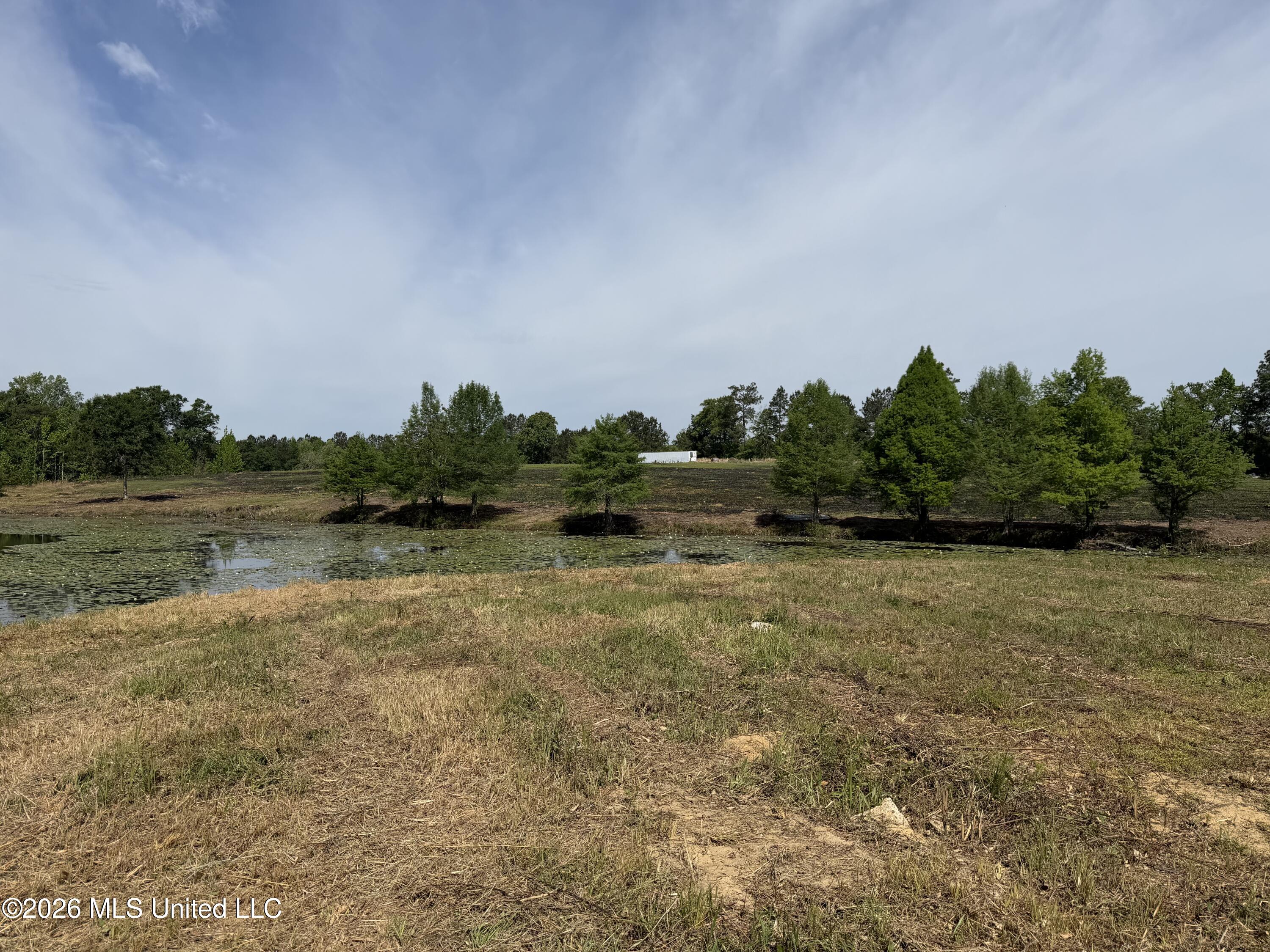 0 N Neely Avera Road Property Photo 19