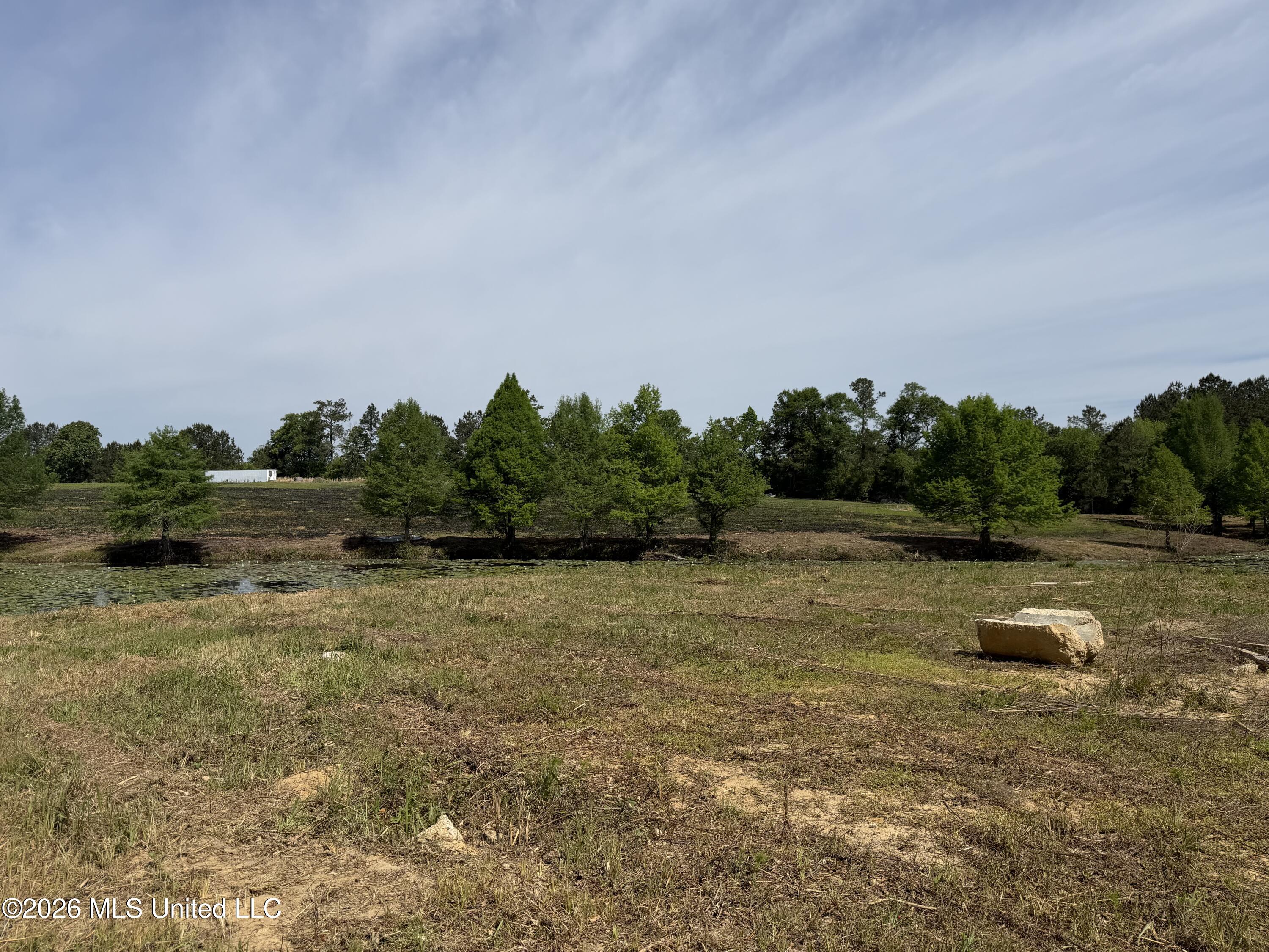 0 N Neely Avera Road Property Photo 20