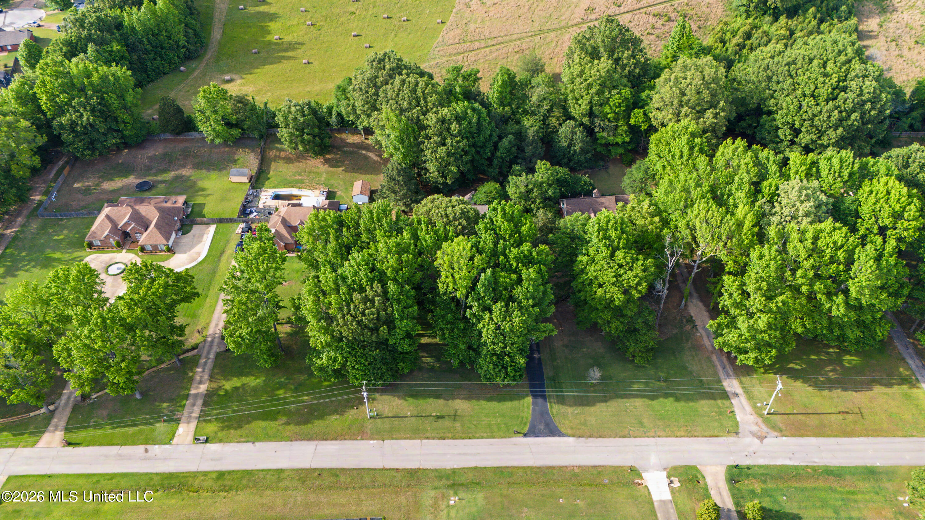 2110 Tall Tree Drive Property Photo 5