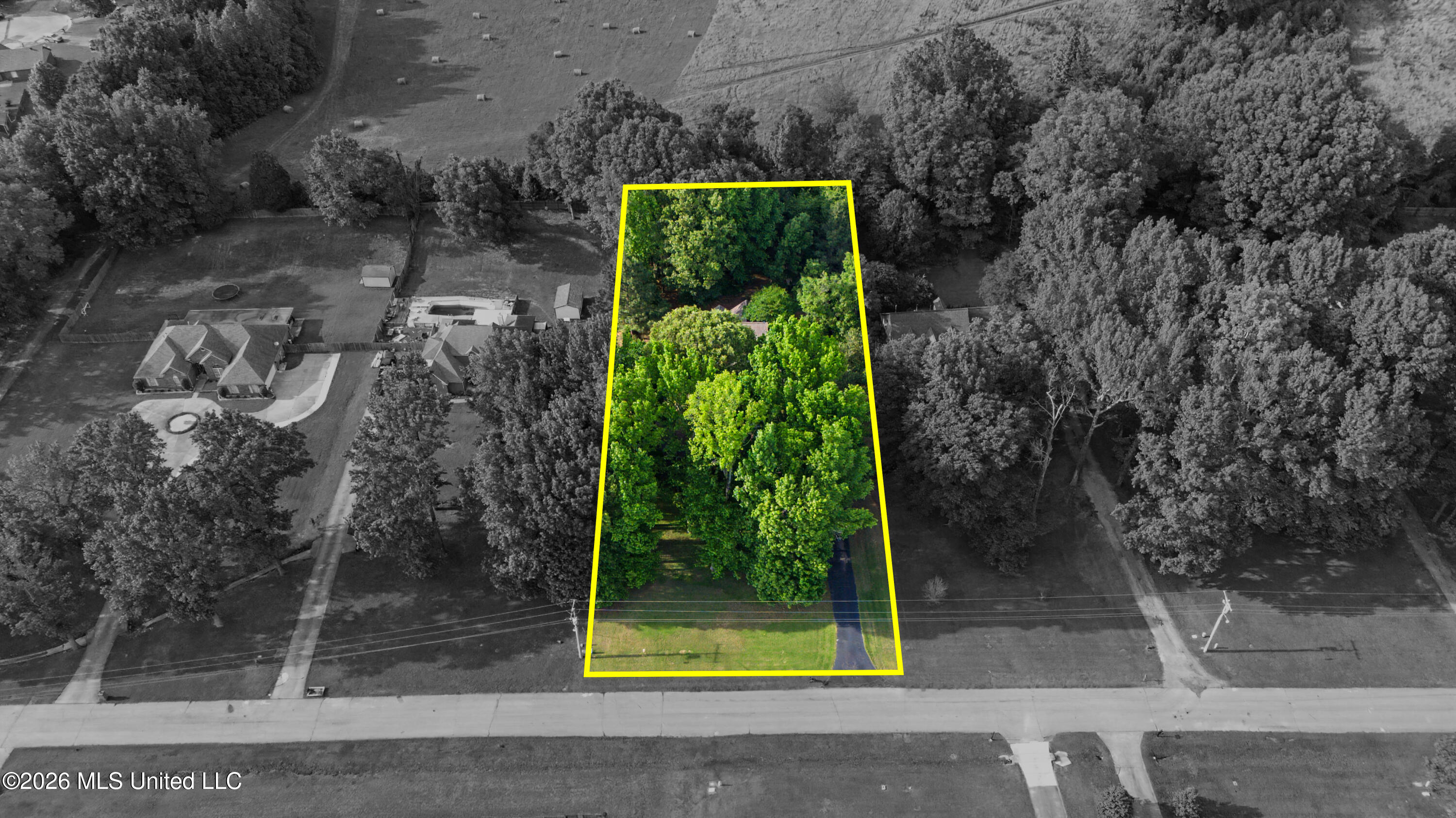 2110 Tall Tree Drive Property Photo 6