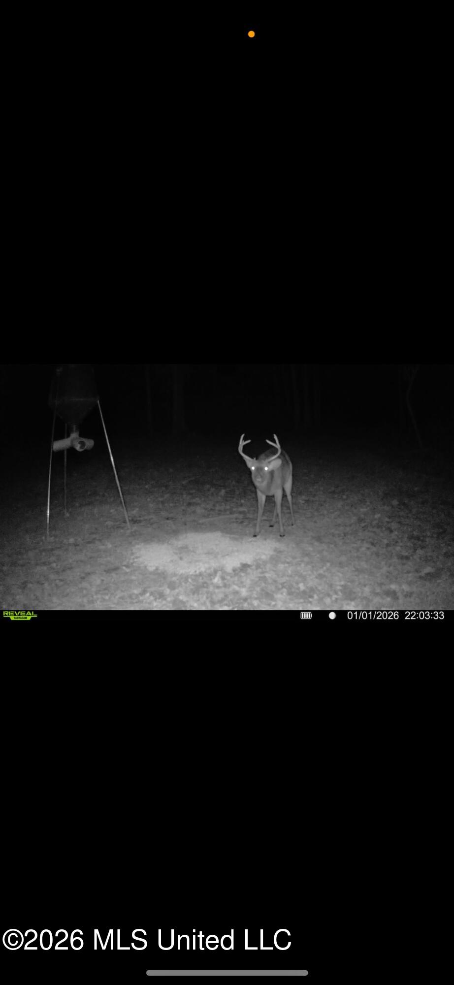 000 Furrs Mill Dr Ne Drive Property Photo 43