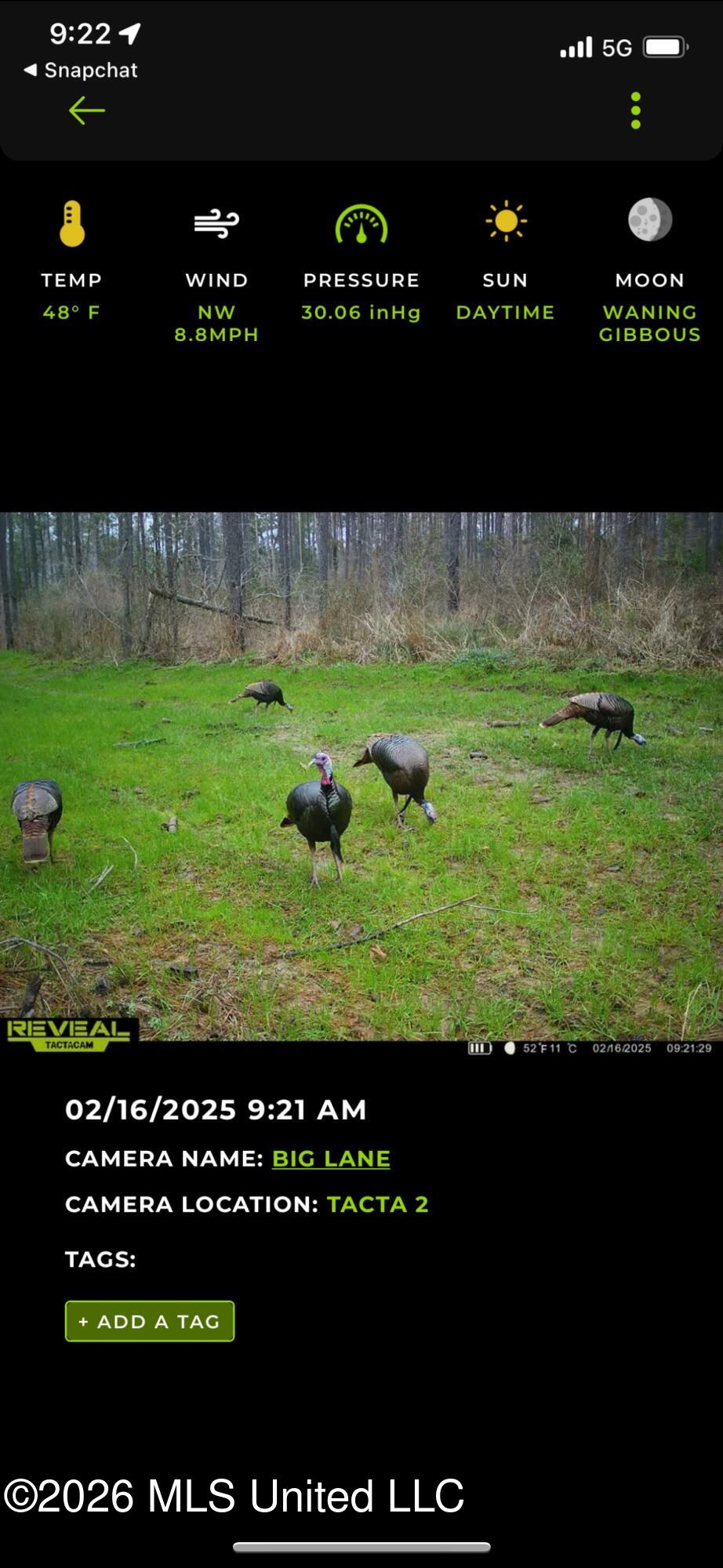 000 Furrs Mill Dr Ne Drive Property Photo 48