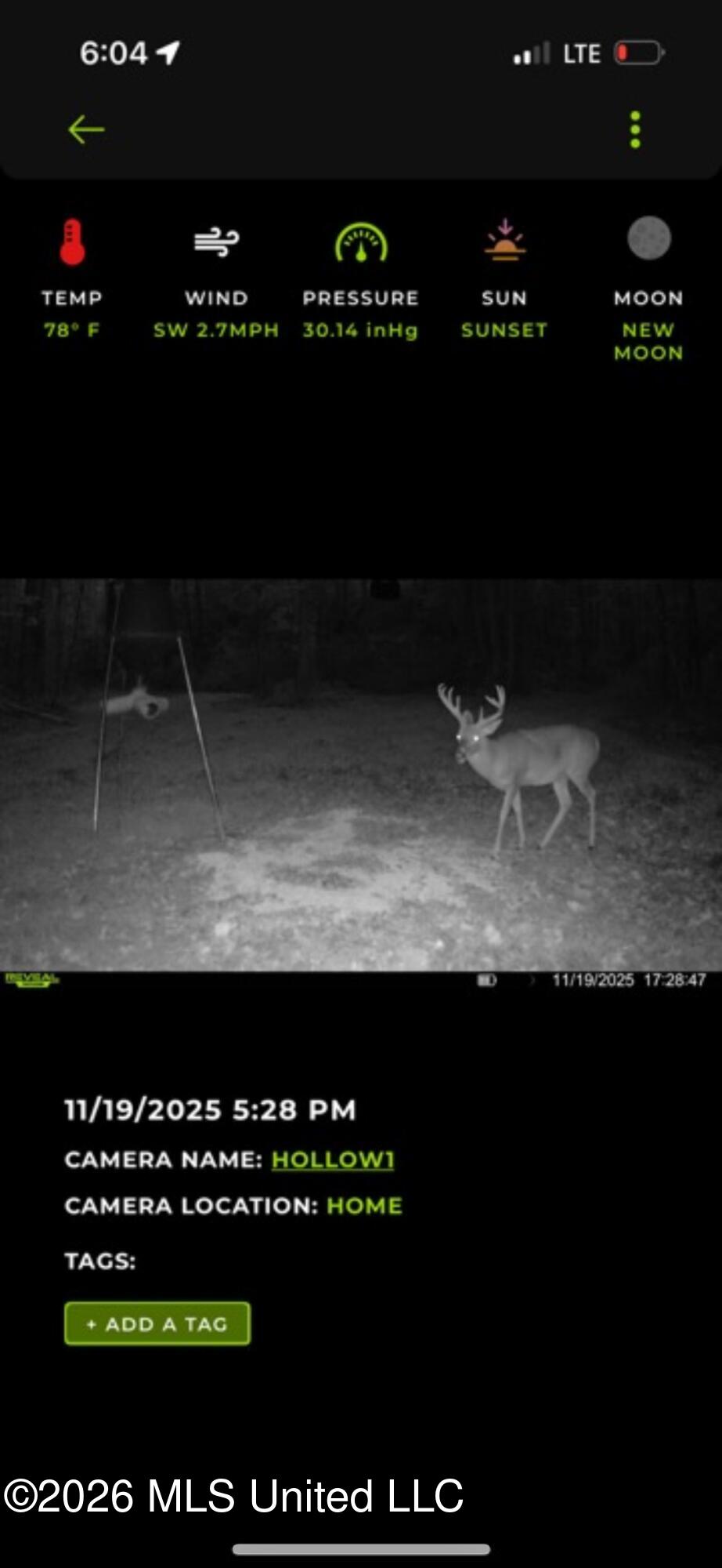 000 Furrs Mill Dr Ne Drive Property Photo 50