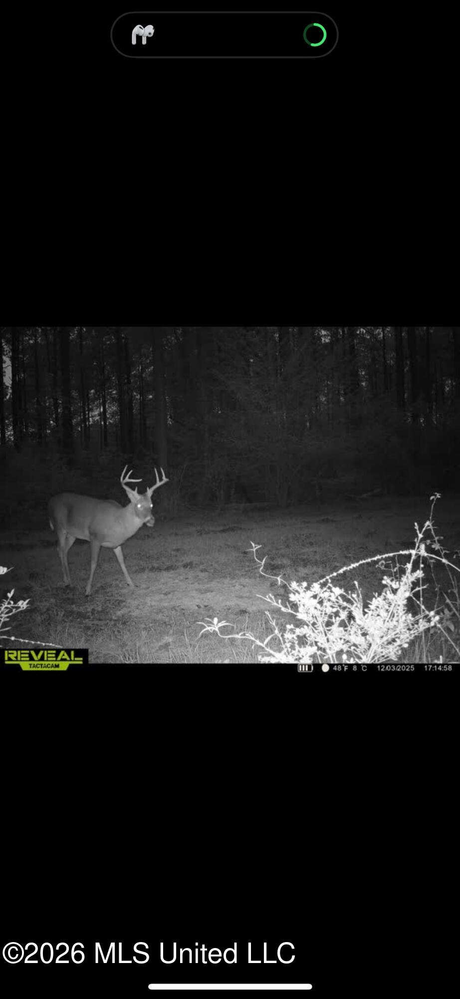 000 Furrs Mill Dr Ne Drive Property Photo 51