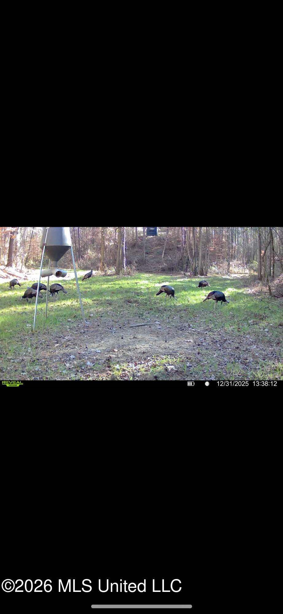 000 Furrs Mill Dr Ne Drive Property Photo 54