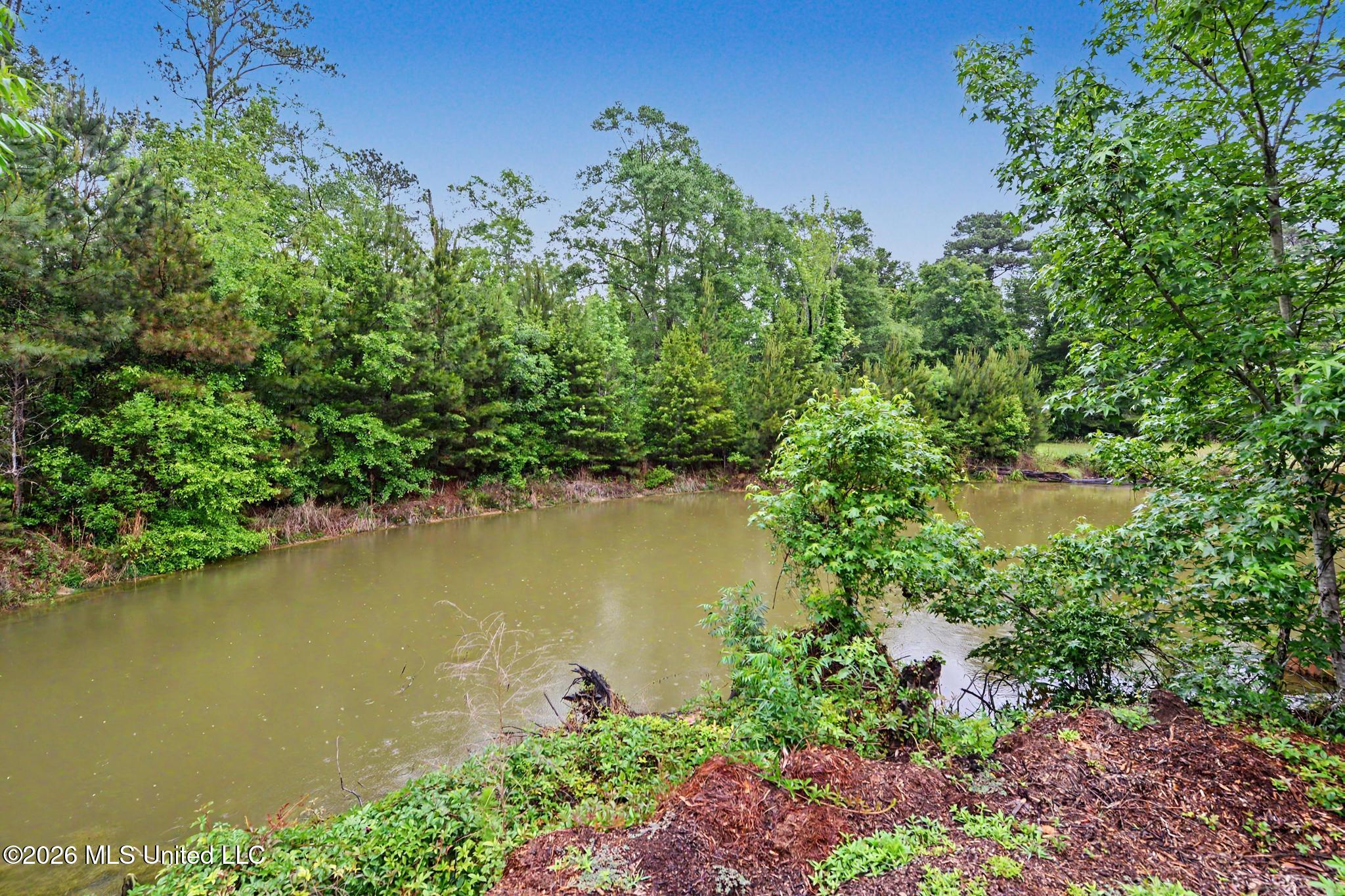 4219 Merrill Road Property Photo 29