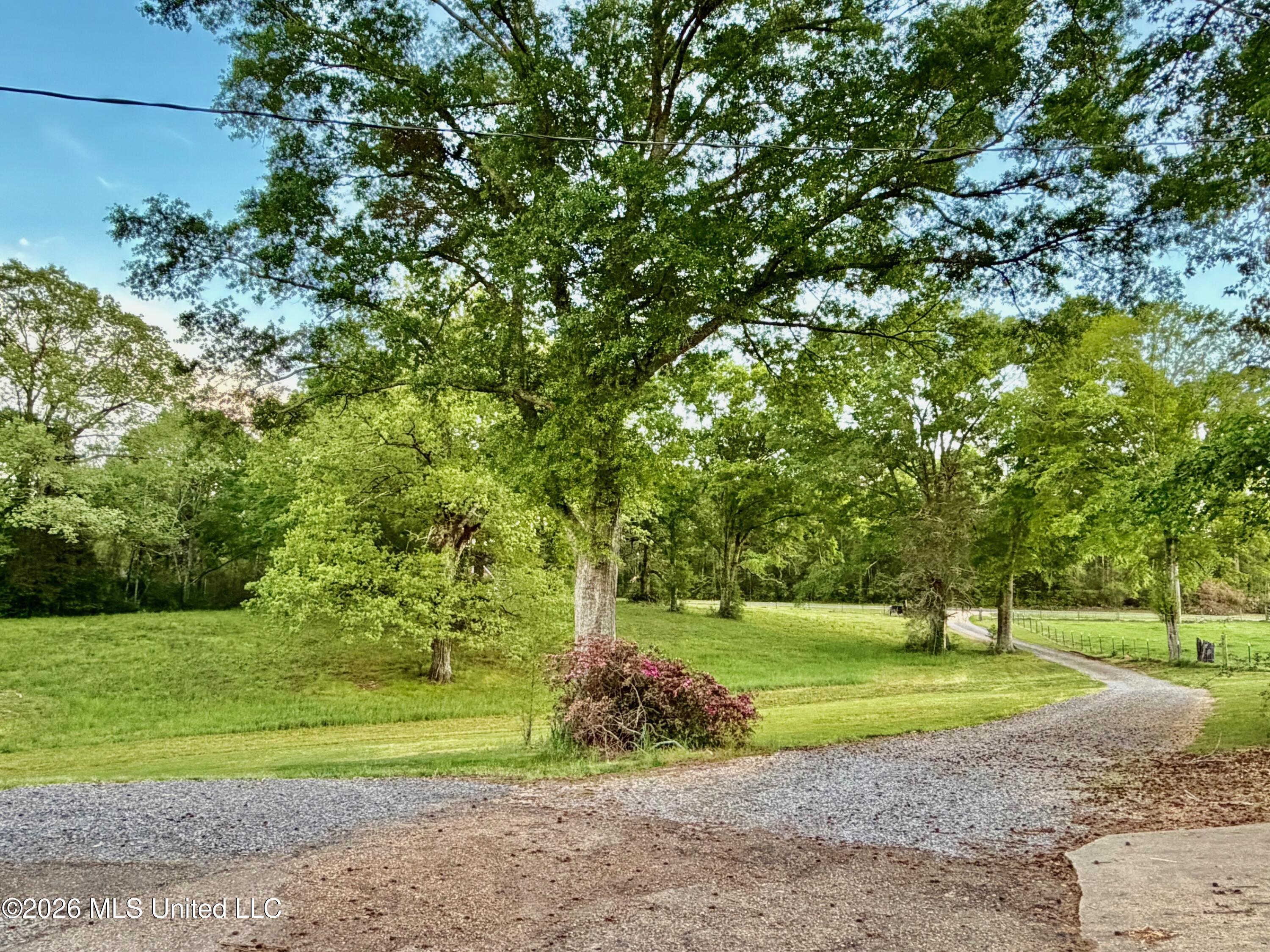 3115 River Ridge Road Property Photo 3