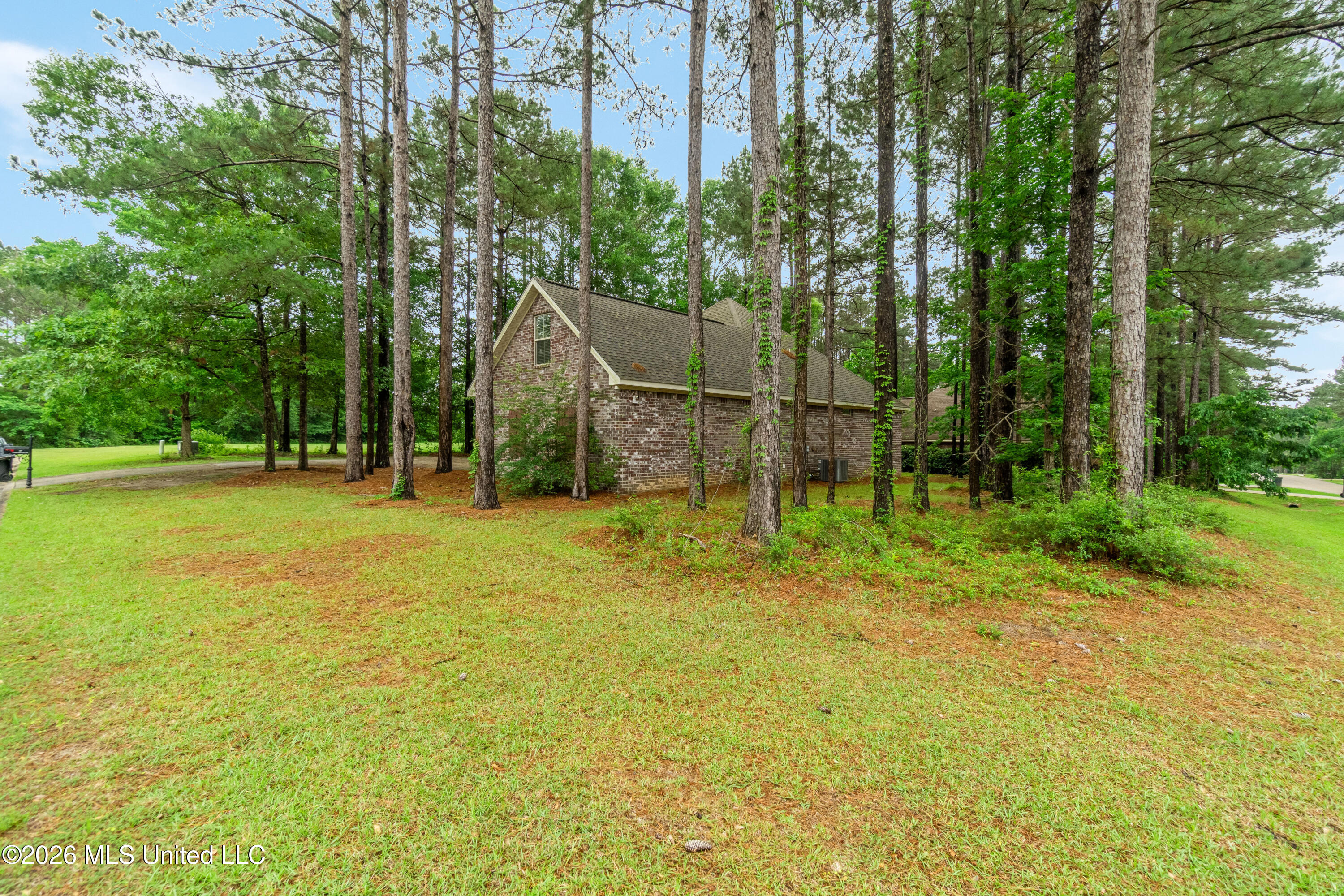59 Lamplighter Lane Property Photo 4