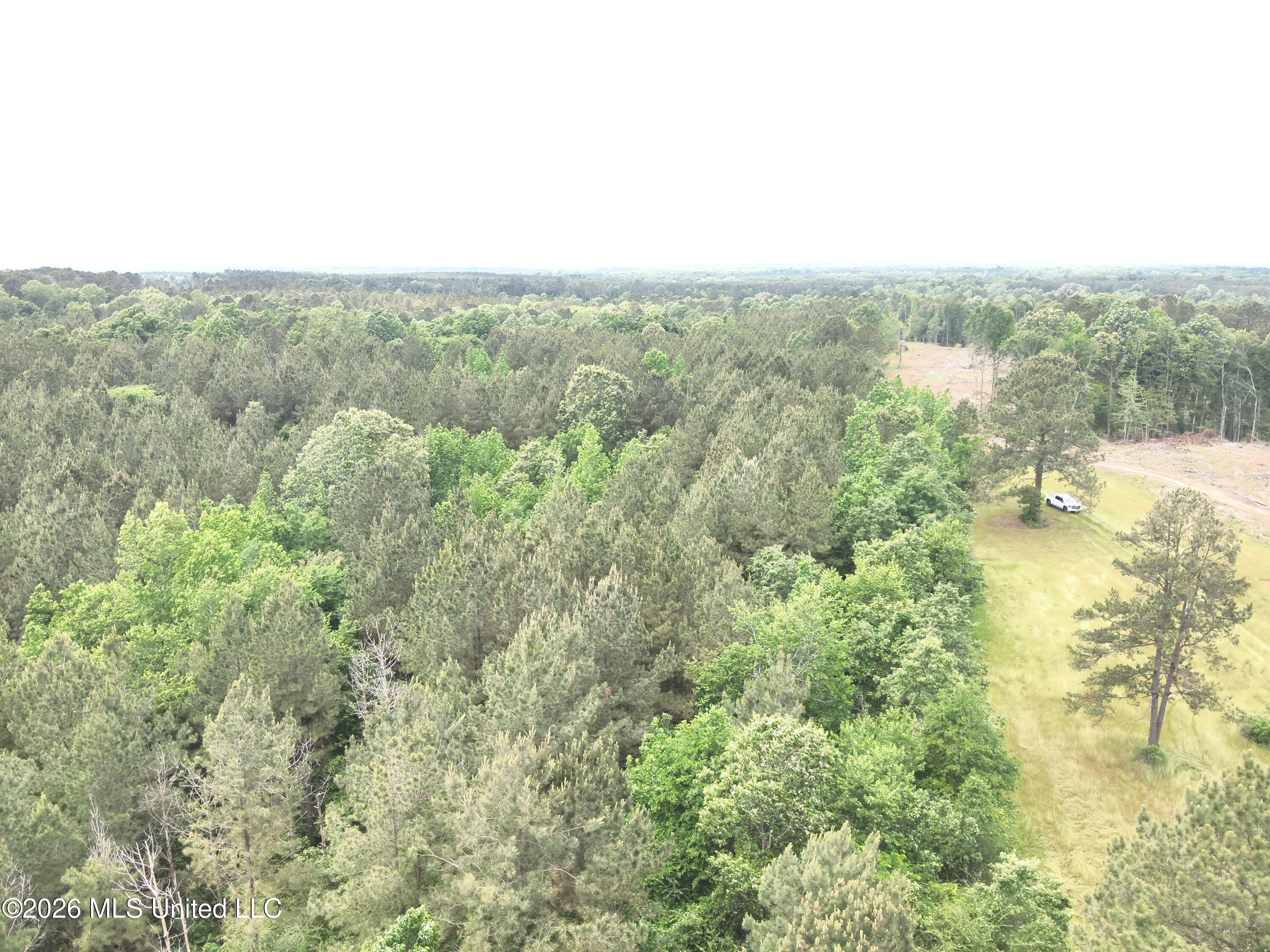 Smith County Rd 559 Property Photo 12