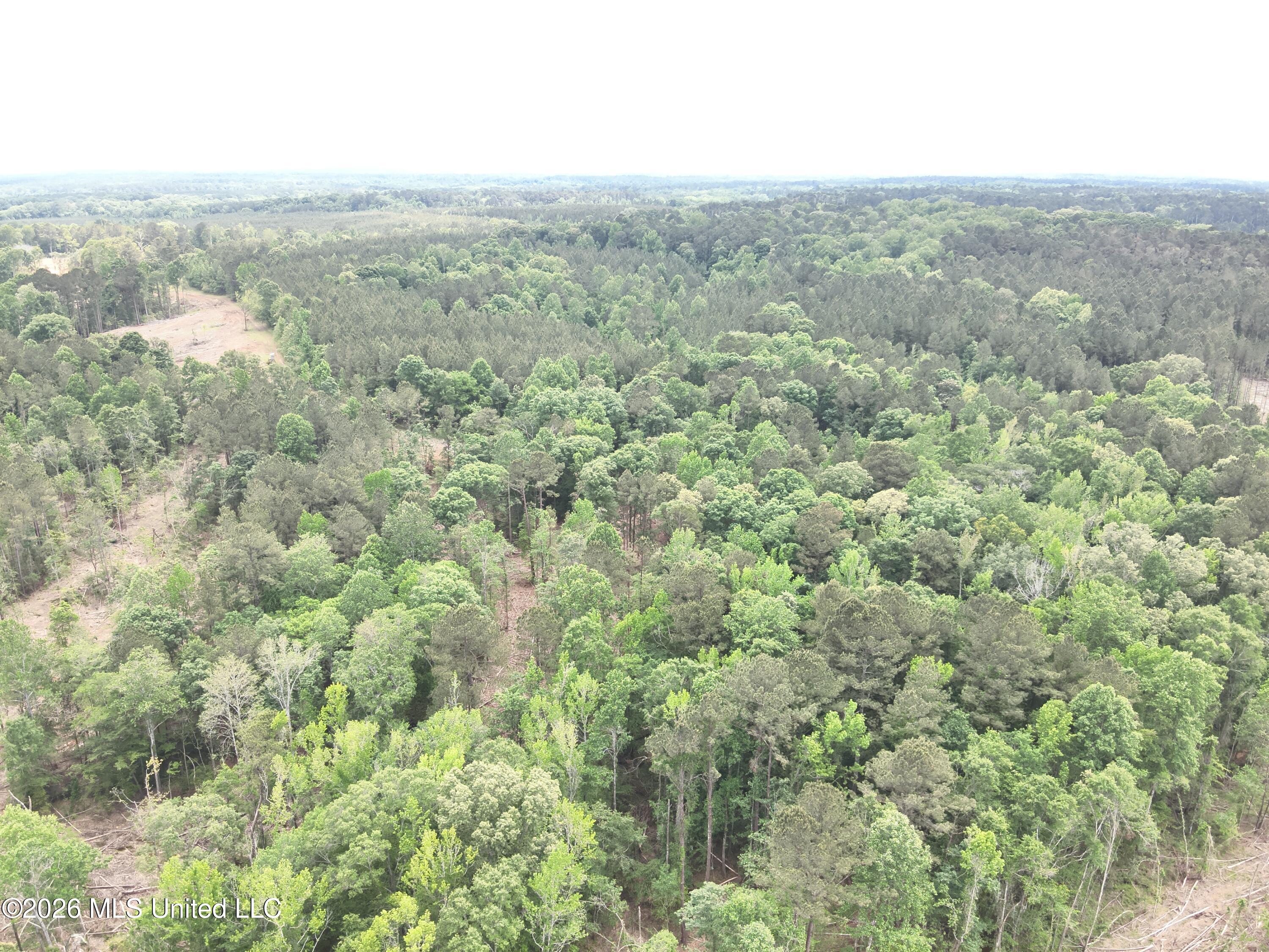 Smith County Rd 559 Property Photo 14