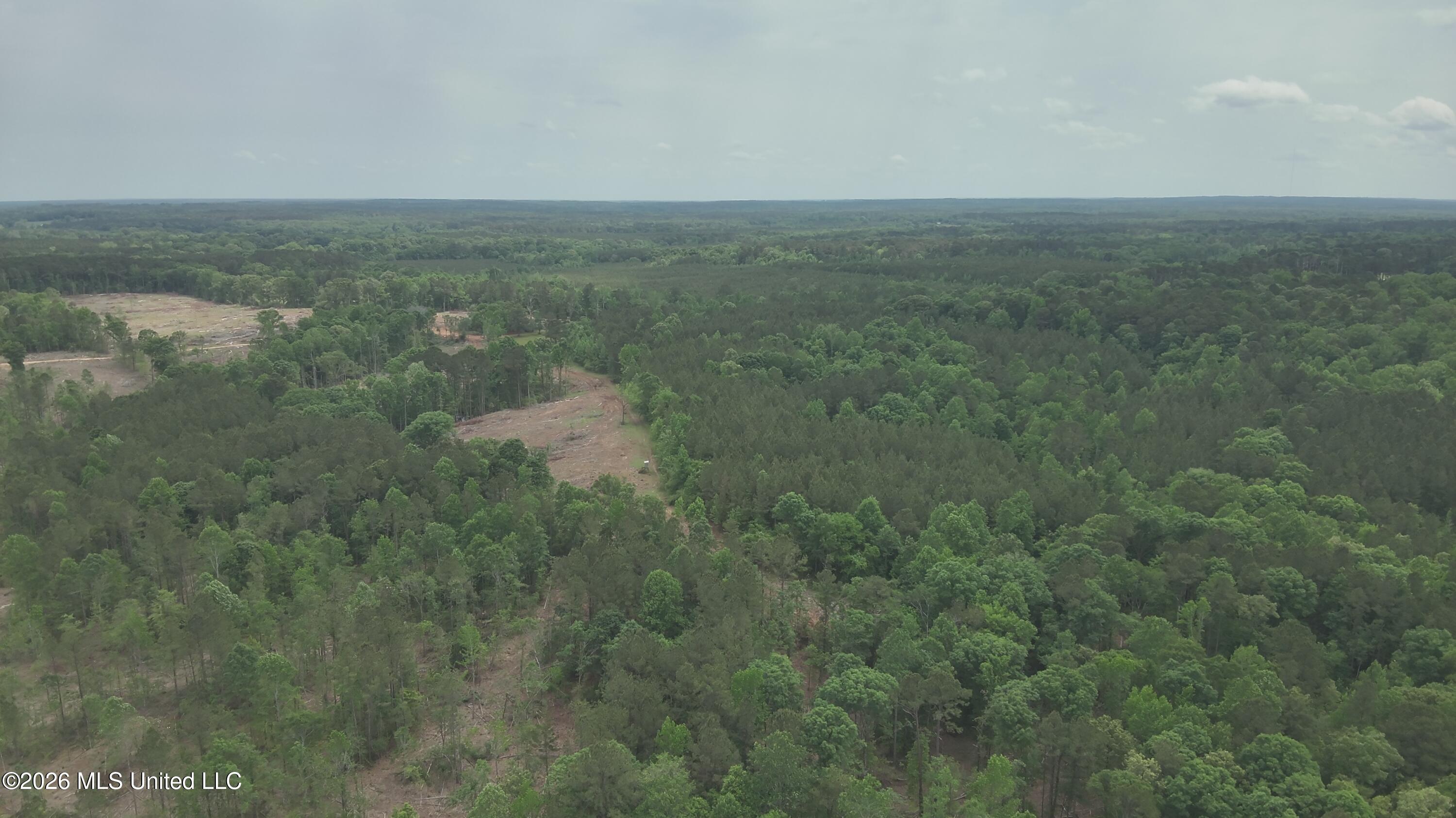 Smith County Rd 559 Property Photo 15