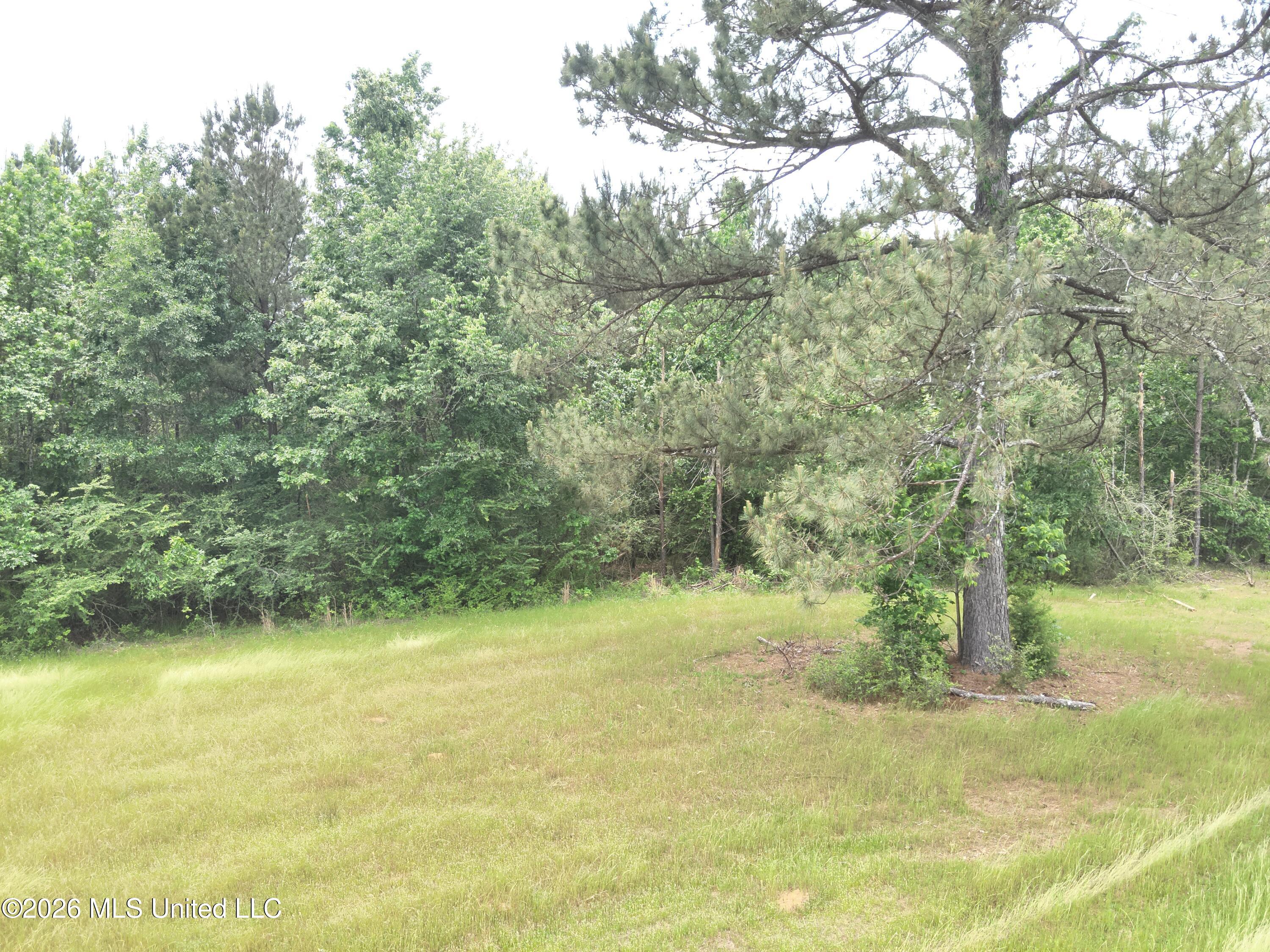 Smith County Rd 559 Property Photo 20