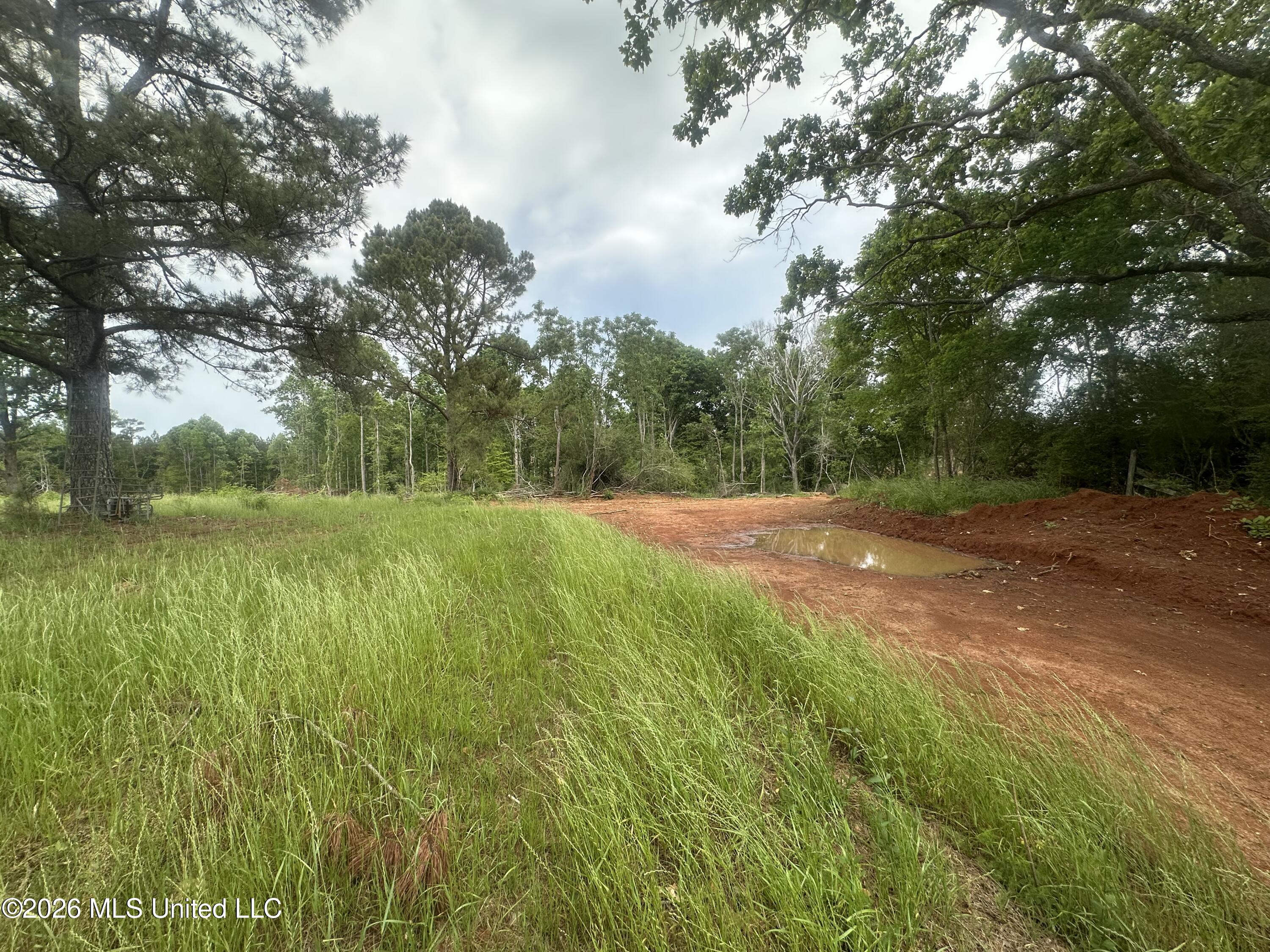 Smith County Rd 559 Property Photo 23