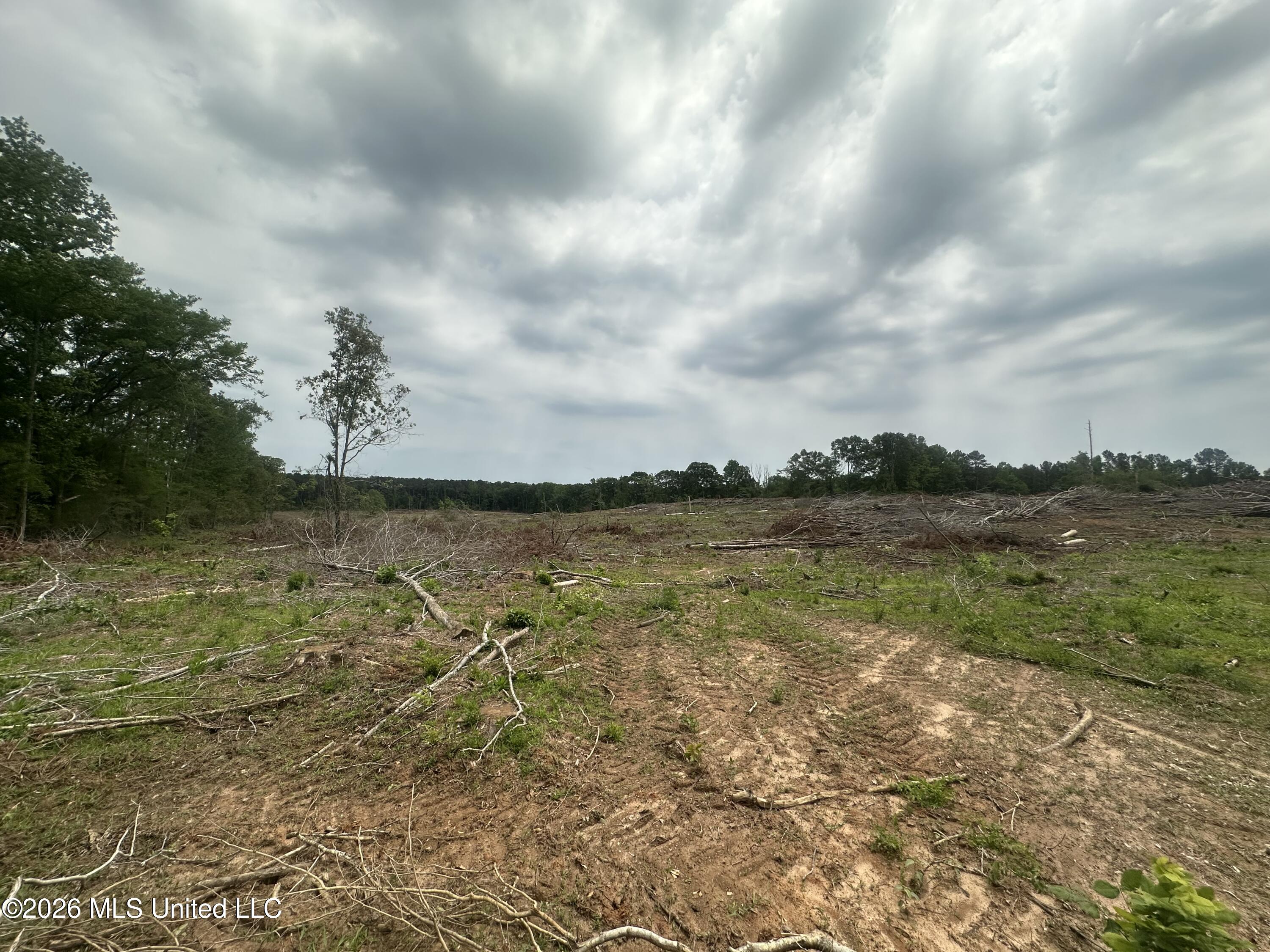 Smith County Rd 559 Property Photo 25