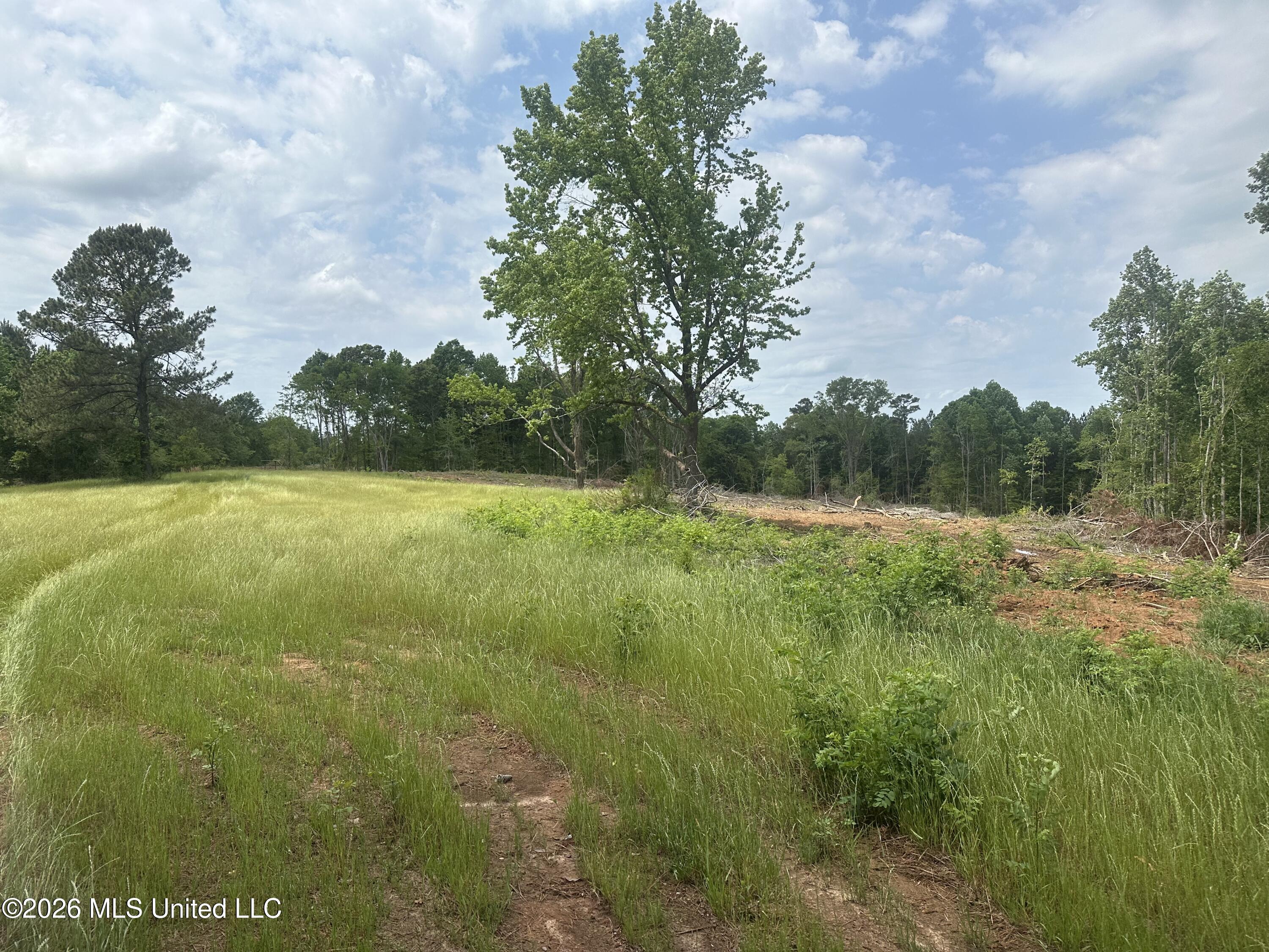 Smith County Rd 559 Property Photo 29
