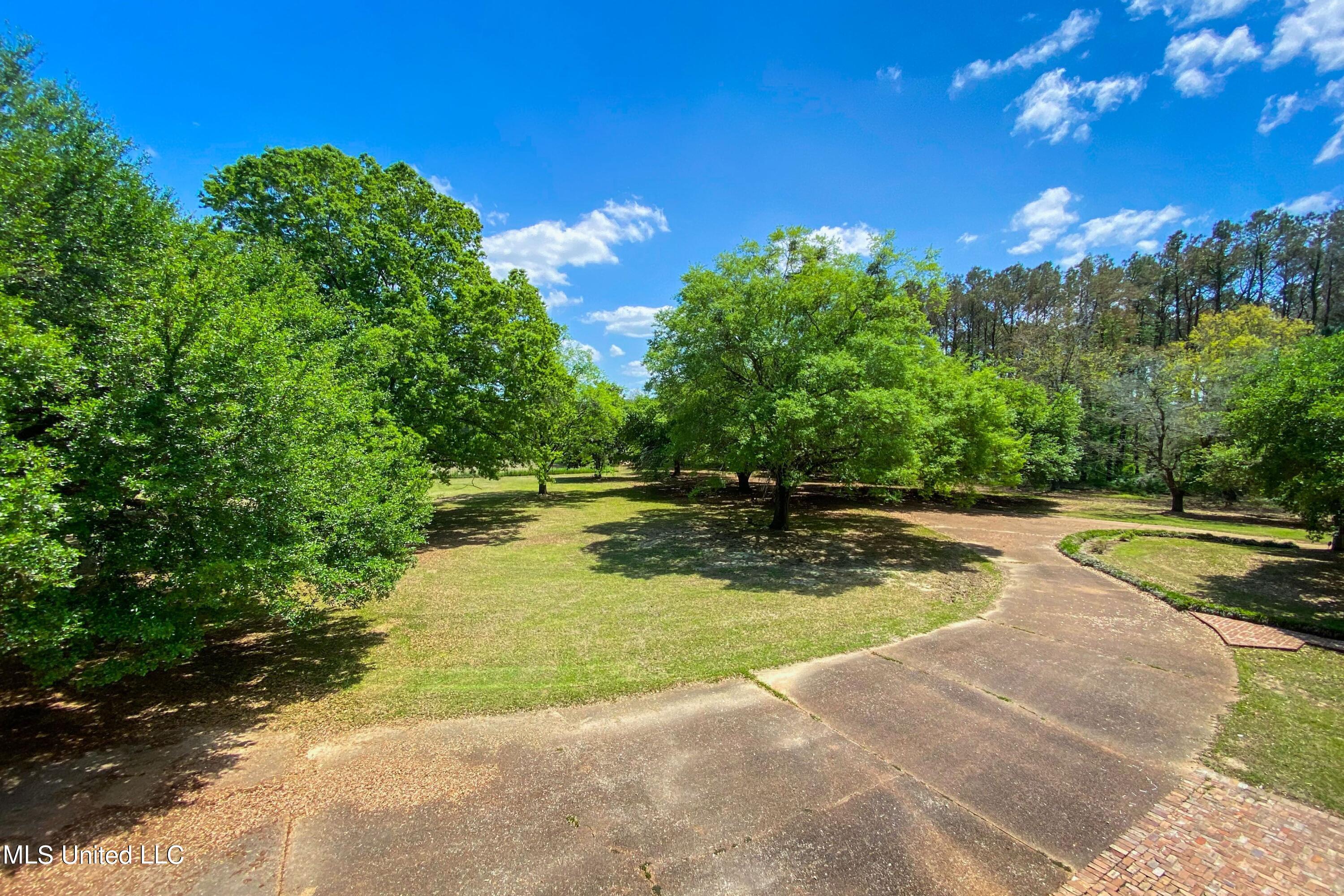 16487 Highway 3 Property Photo 53