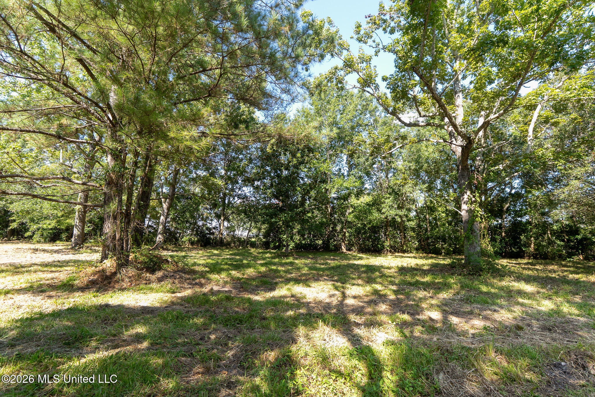 10232 Goodman Road Property Photo 3
