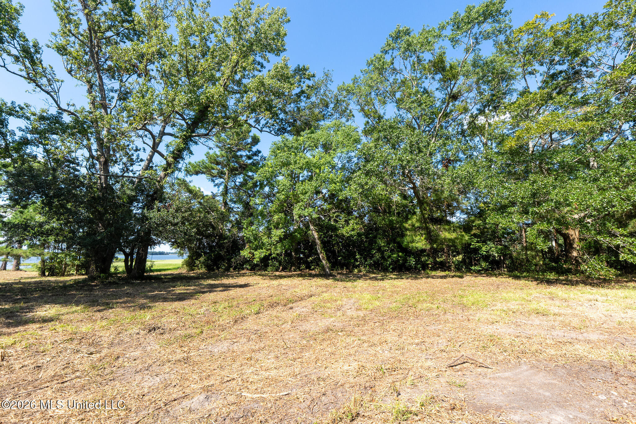 10232 Goodman Road Property Photo 6