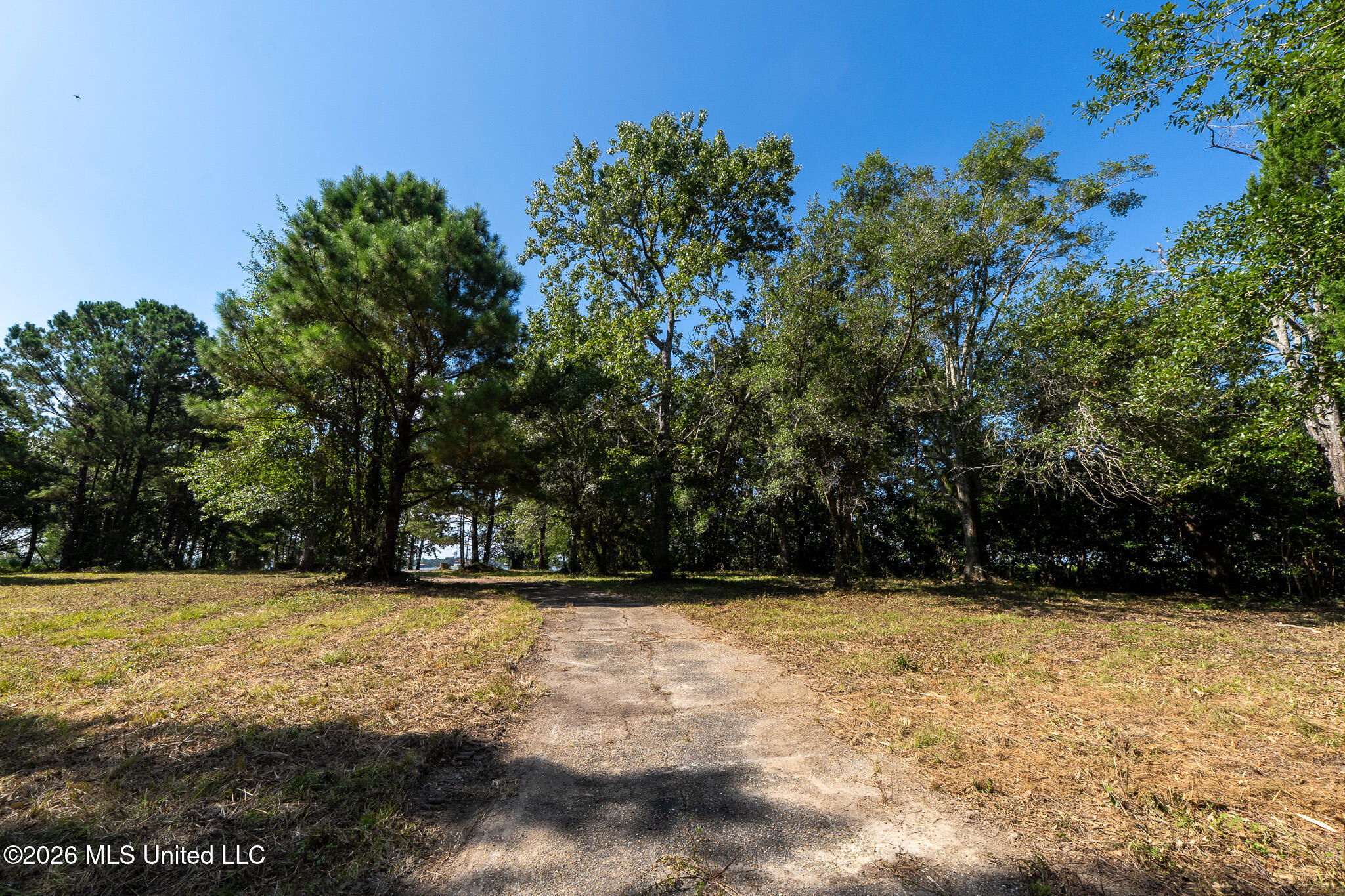 10232 Goodman Road Property Photo 10